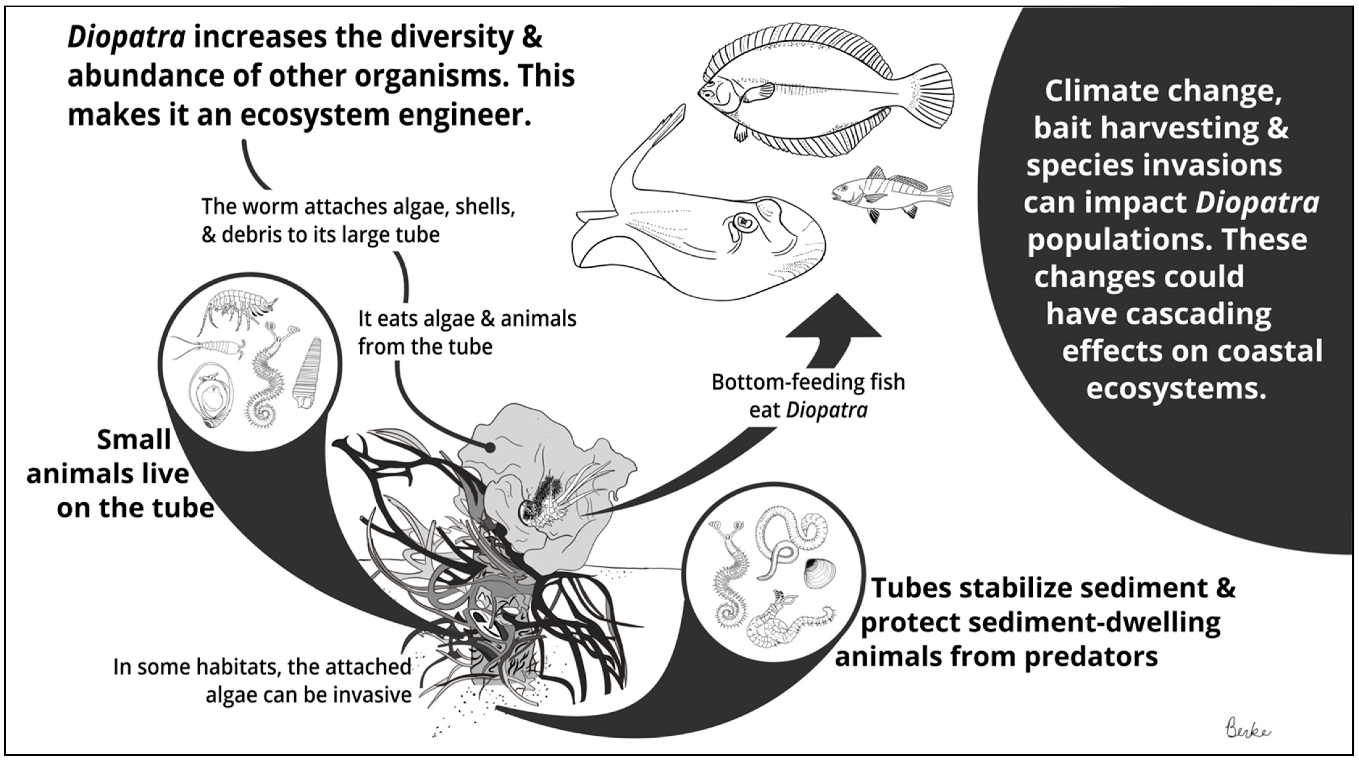 Biology 11 01485 g001 Biology 11 01485 g001