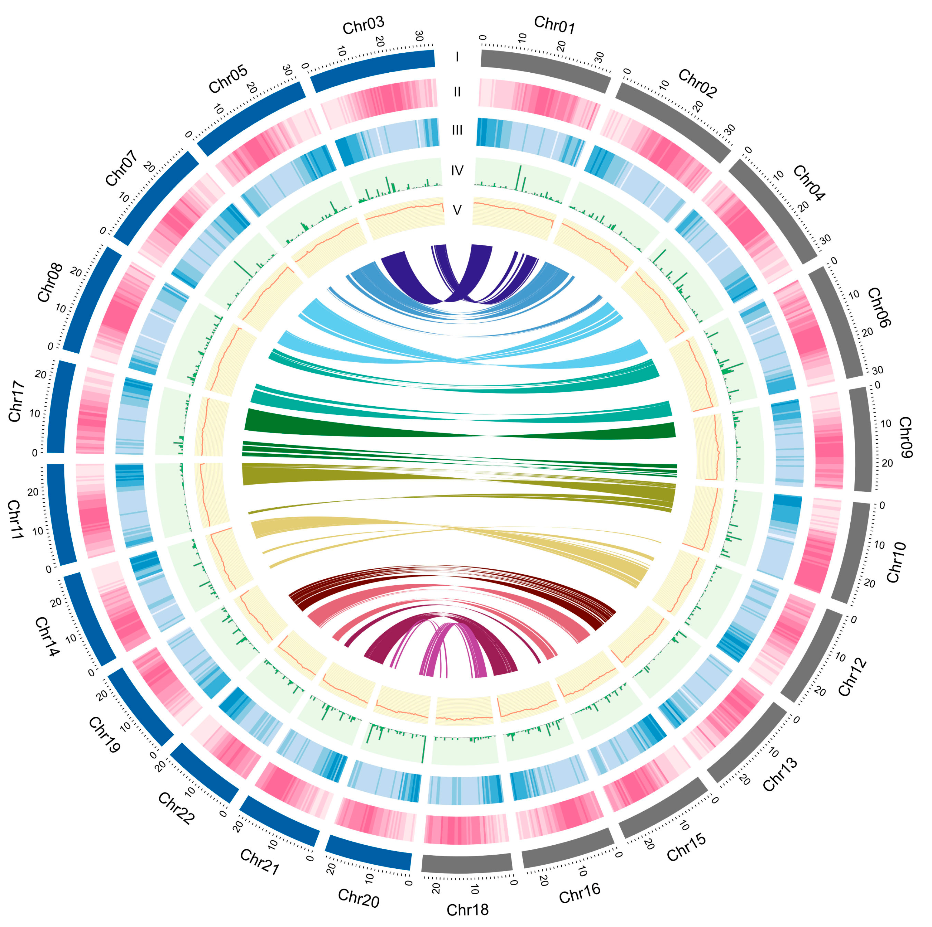 Biology 11 01492 g002 Biology 11 01492 g002