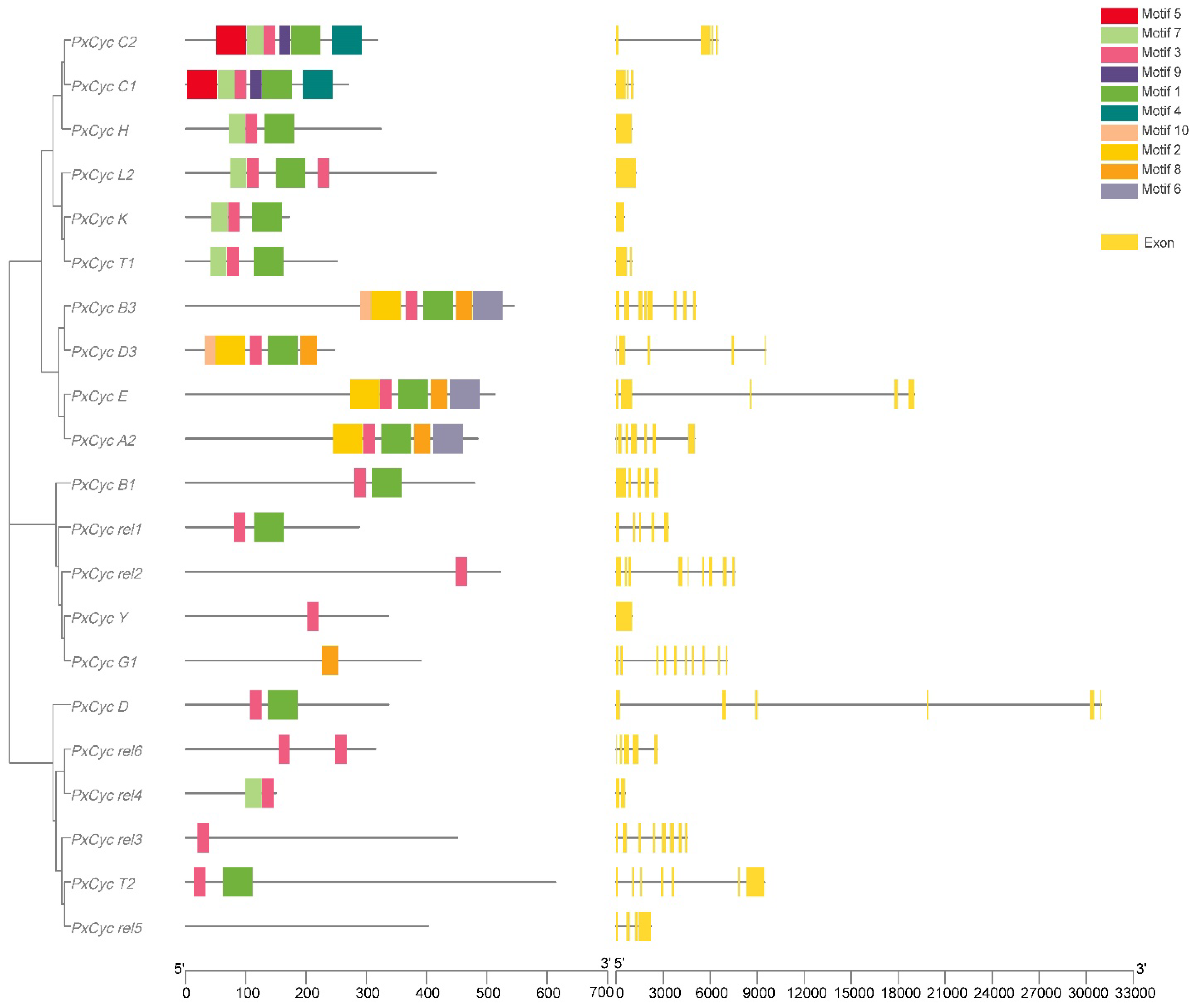 Biology 11 01493 g001