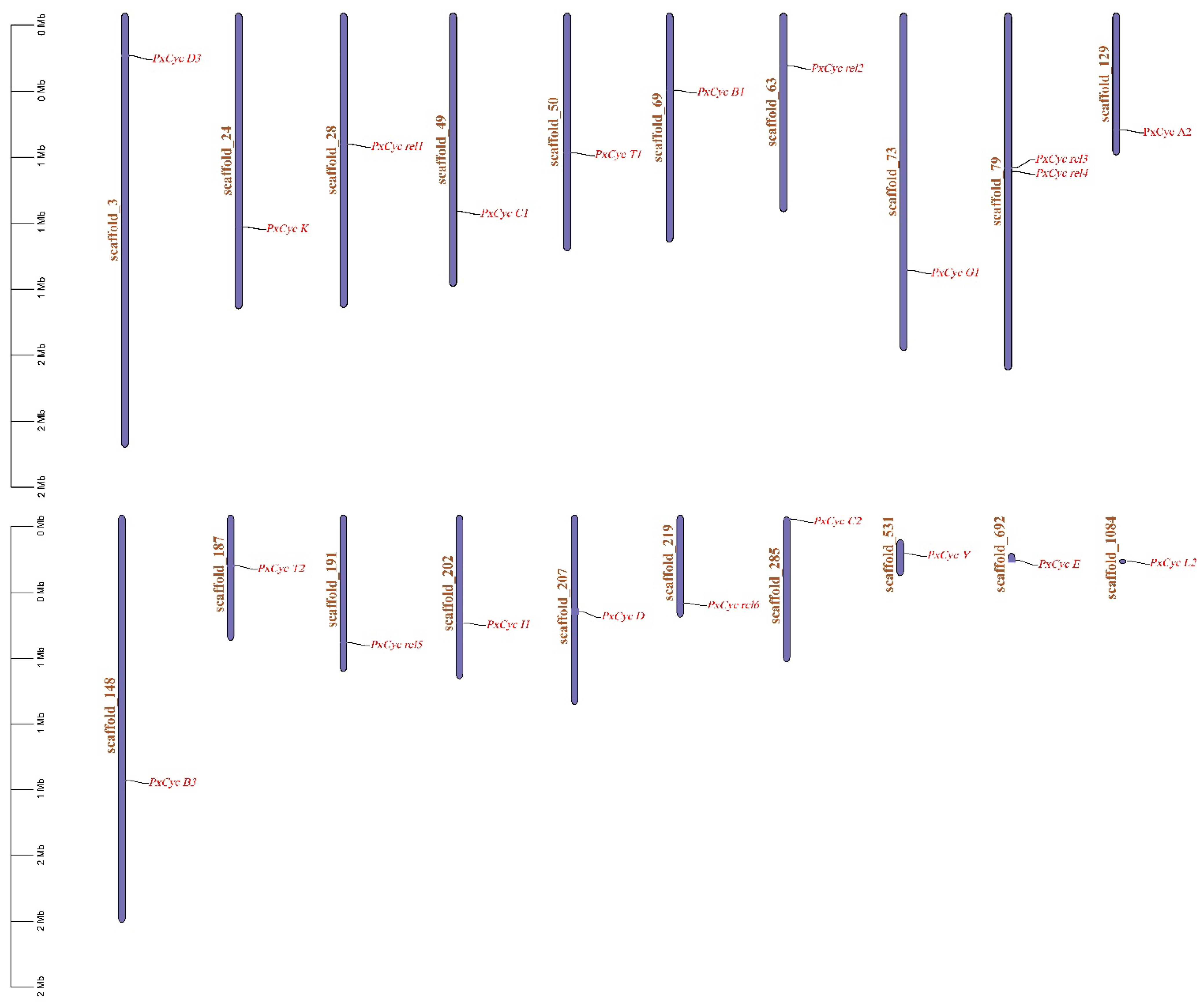 Biology 11 01493 g002