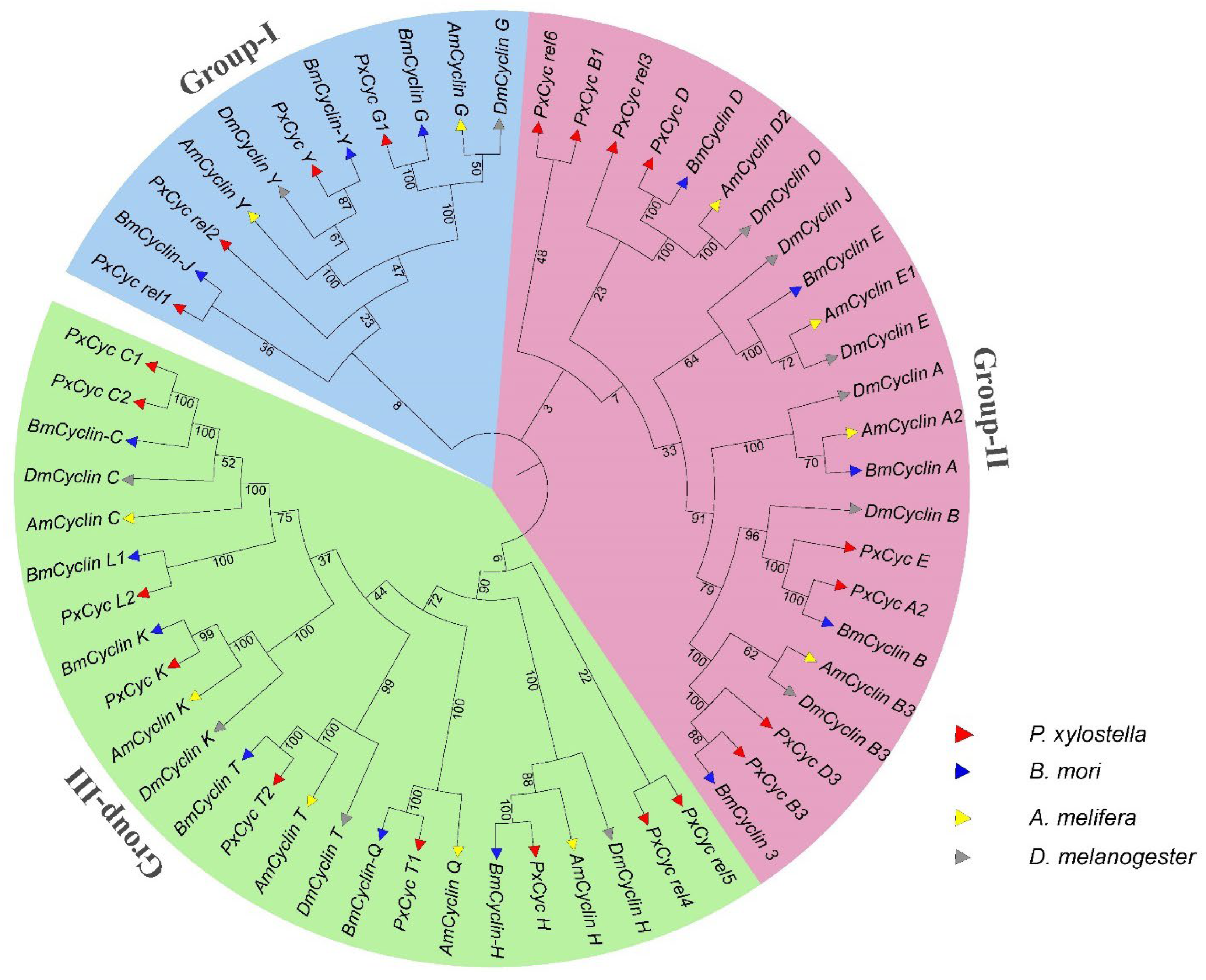 Biology 11 01493 g003