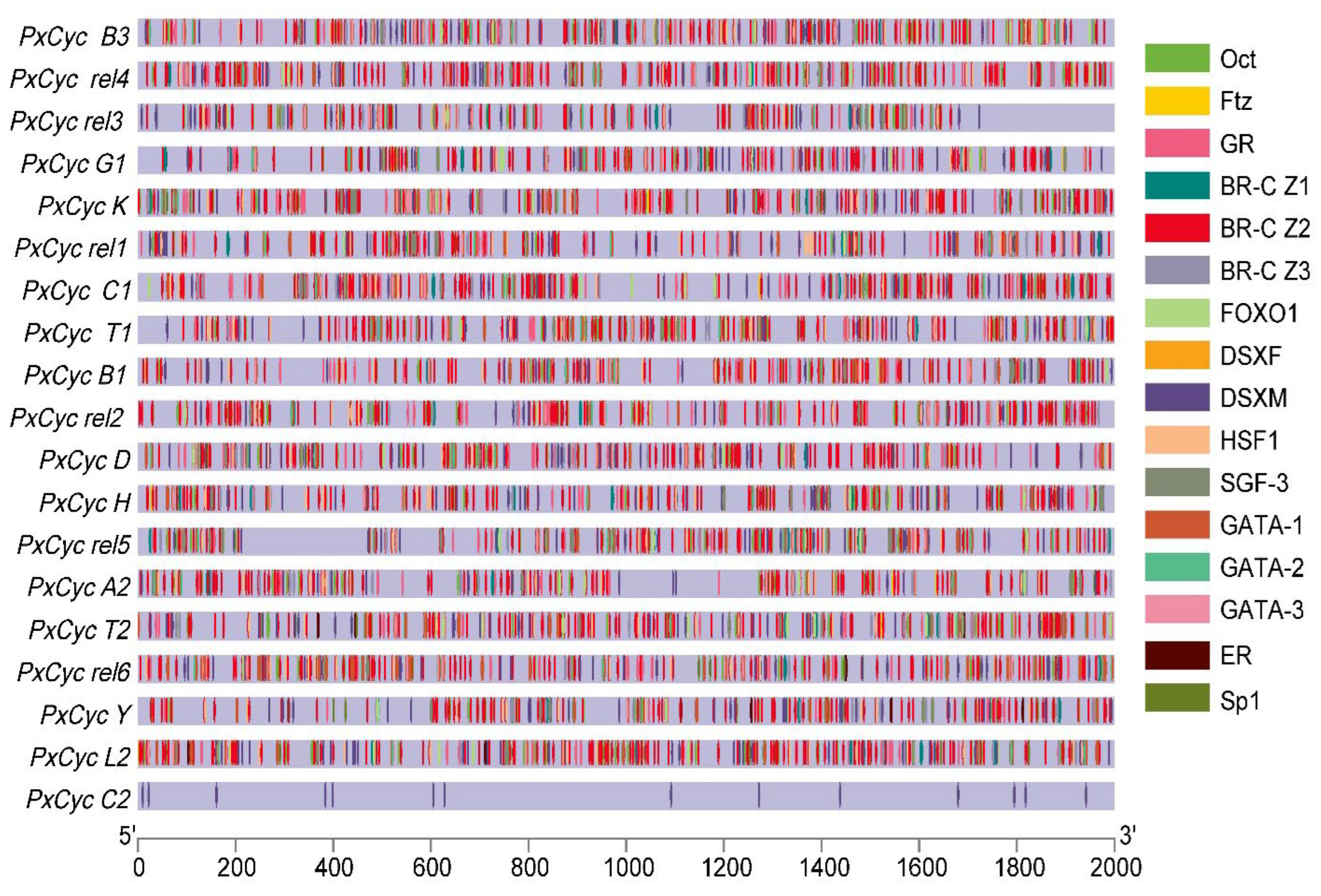 Biology 11 01493 g004