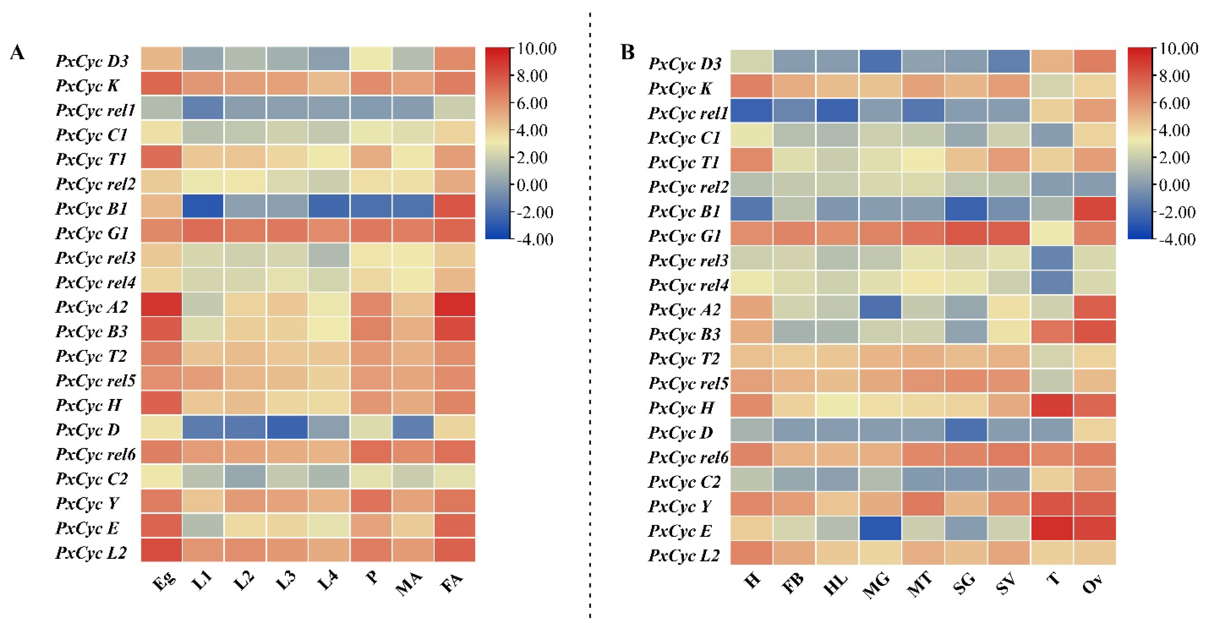 Biology 11 01493 g006