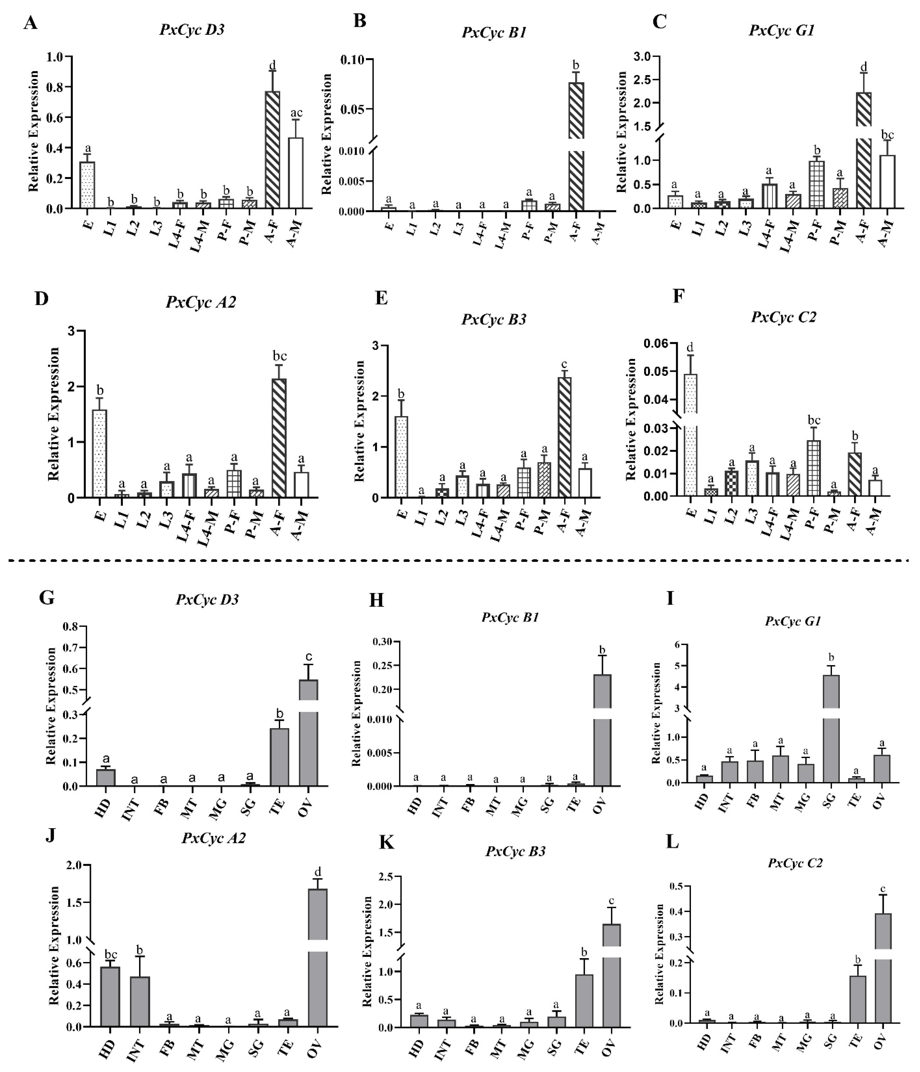 Biology 11 01493 g007