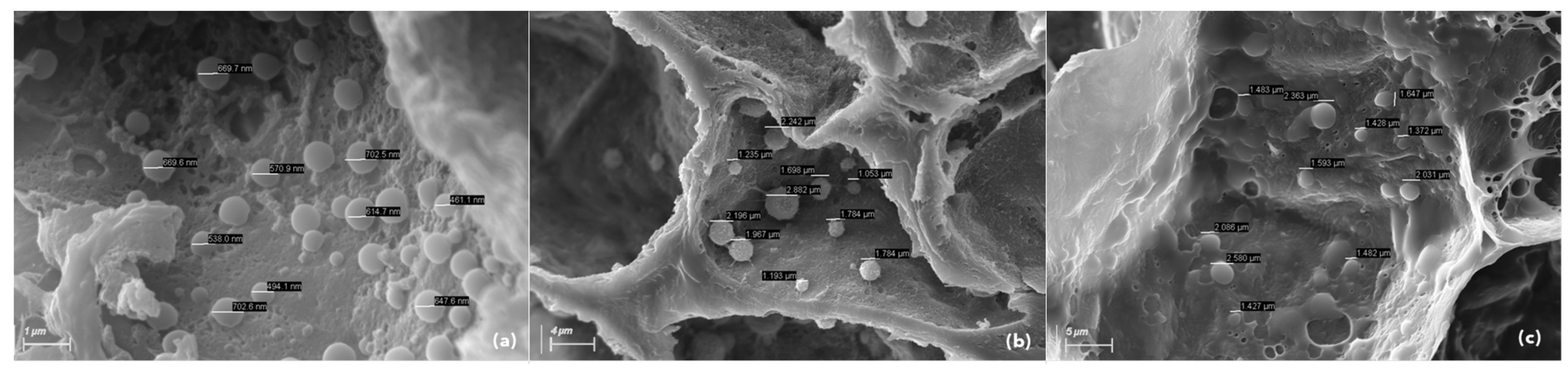 Biology 11 01494 g008