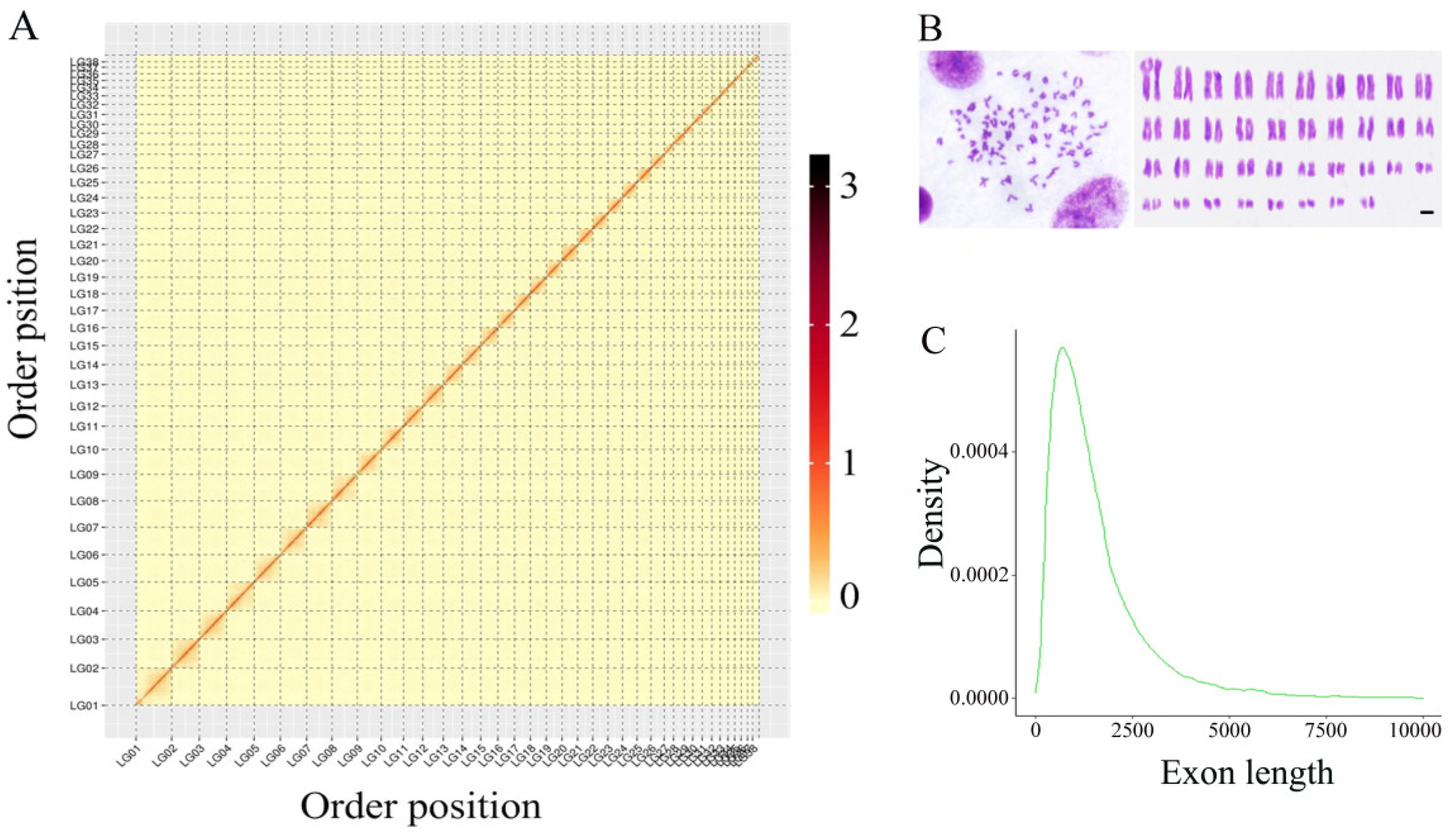 Biology 11 01500 g001 Biology 11 01500 g001