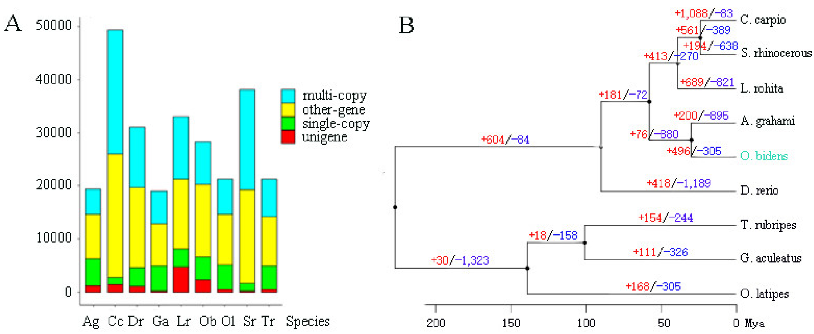 Biology 11 01500 g003 Biology 11 01500 g003