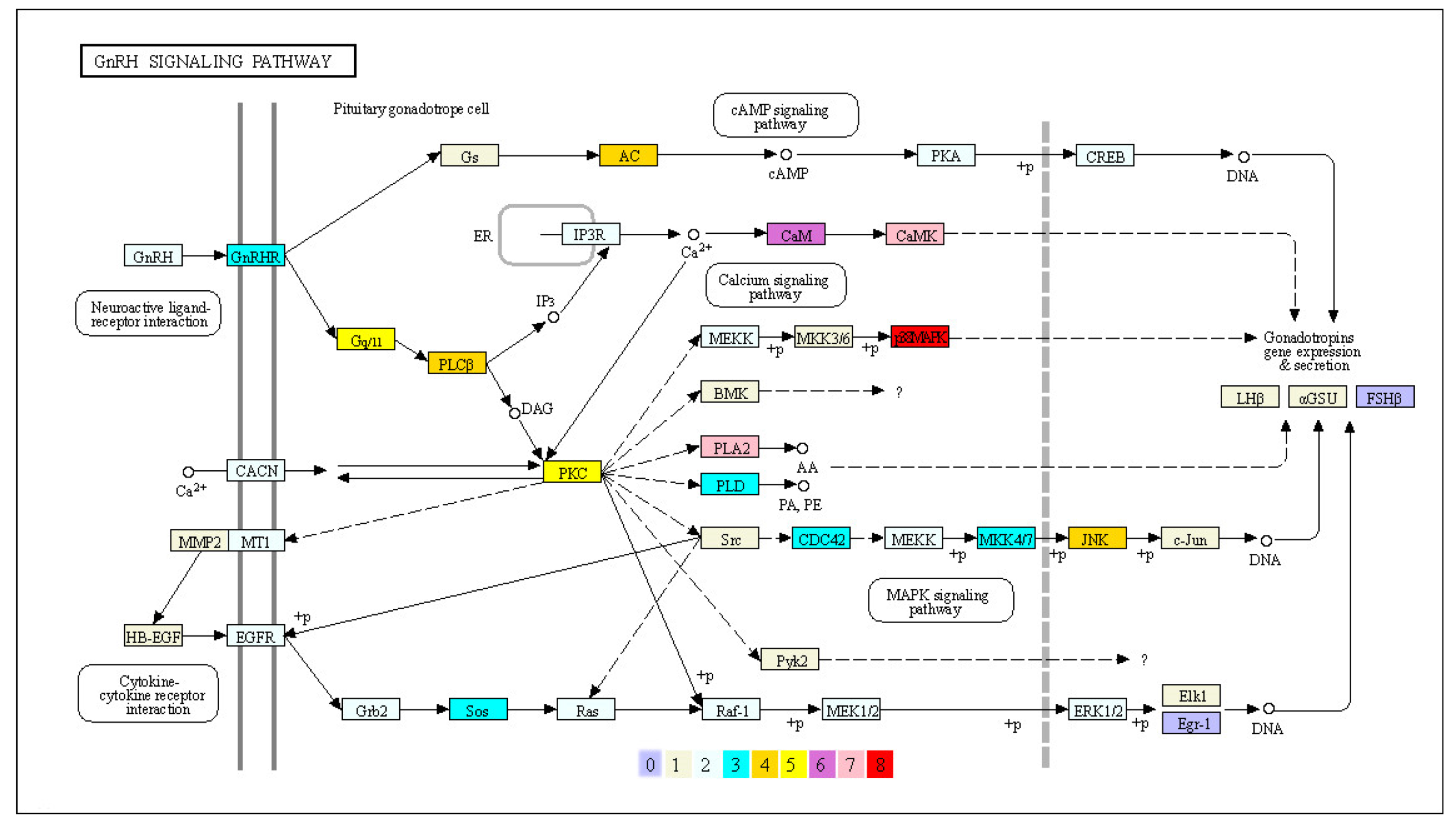 Biology 11 01500 g004 Biology 11 01500 g004