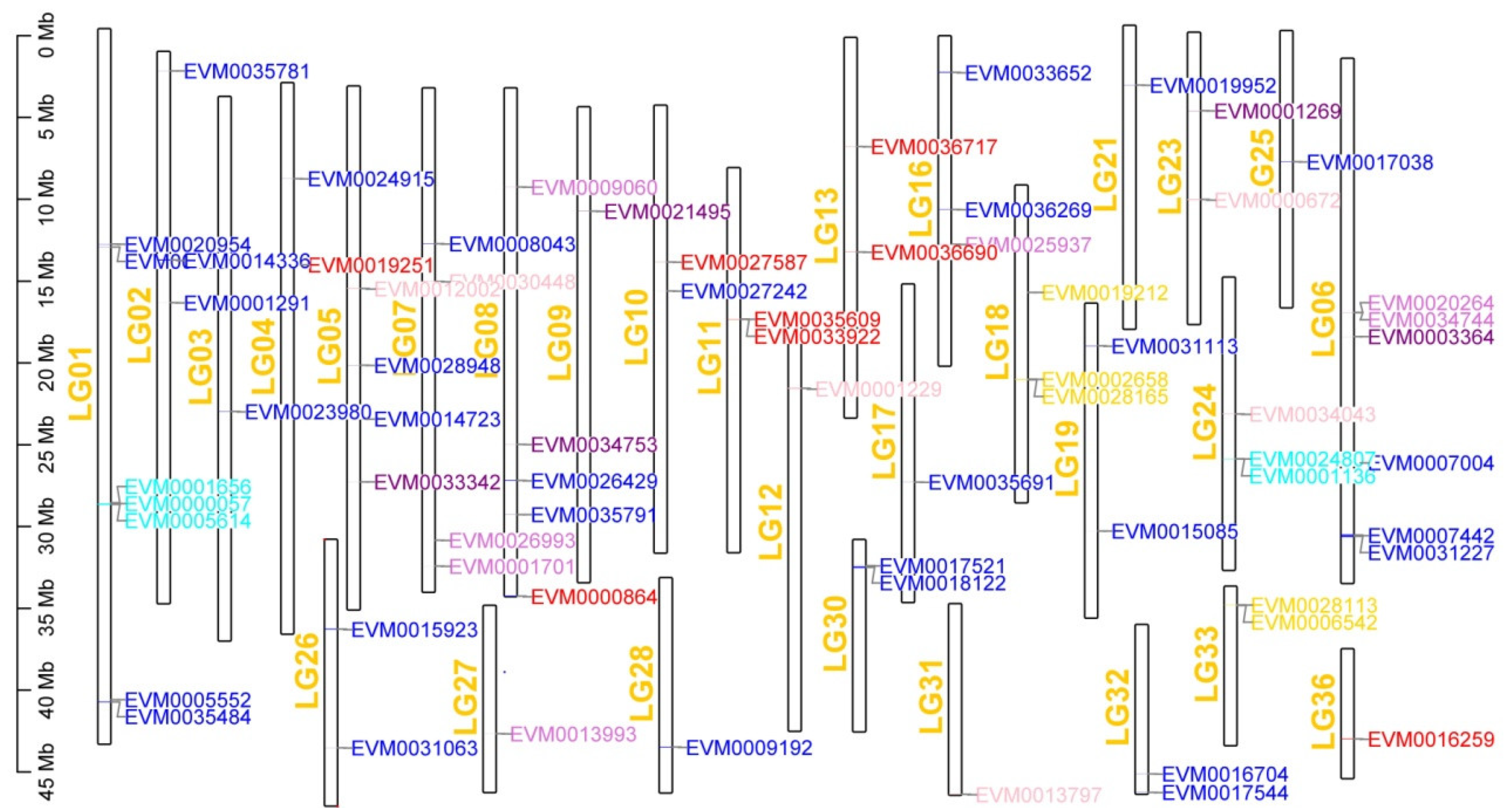 Biology 11 01500 g005 Biology 11 01500 g005