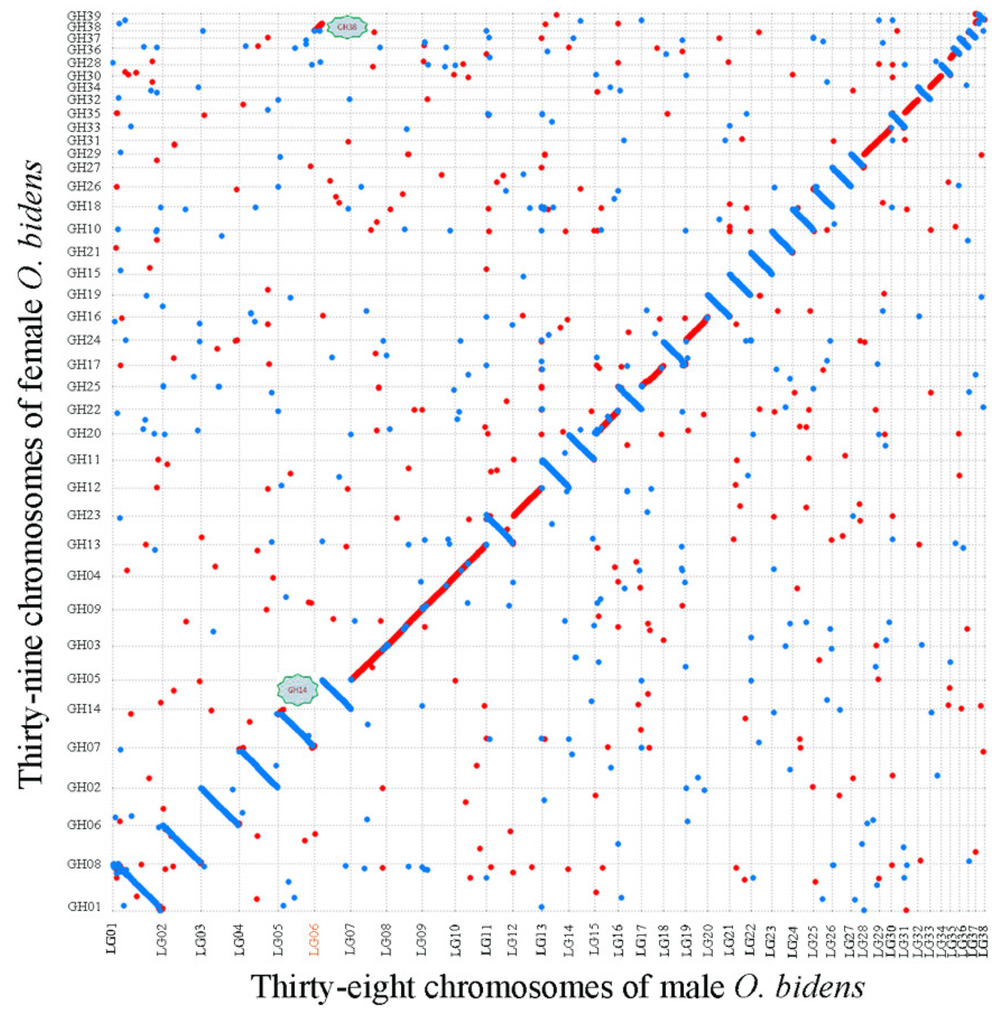Biology 11 01500 g006 Biology 11 01500 g006