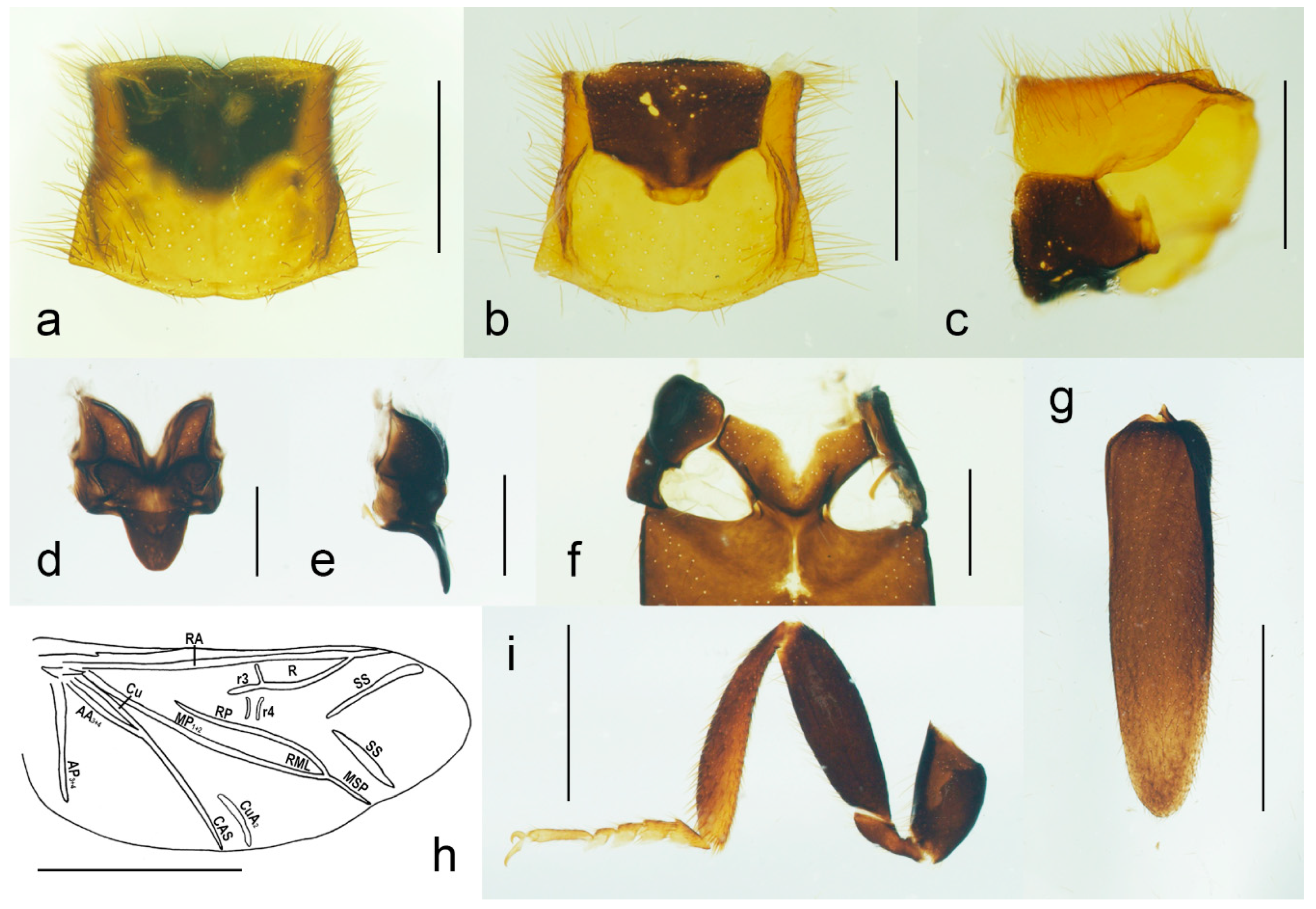 Biology 11 01503 g004