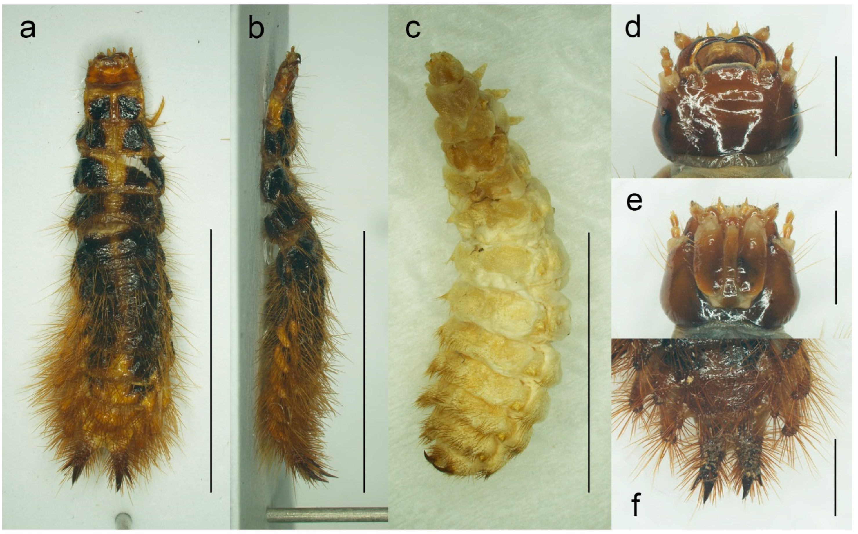 Biology 11 01503 g007