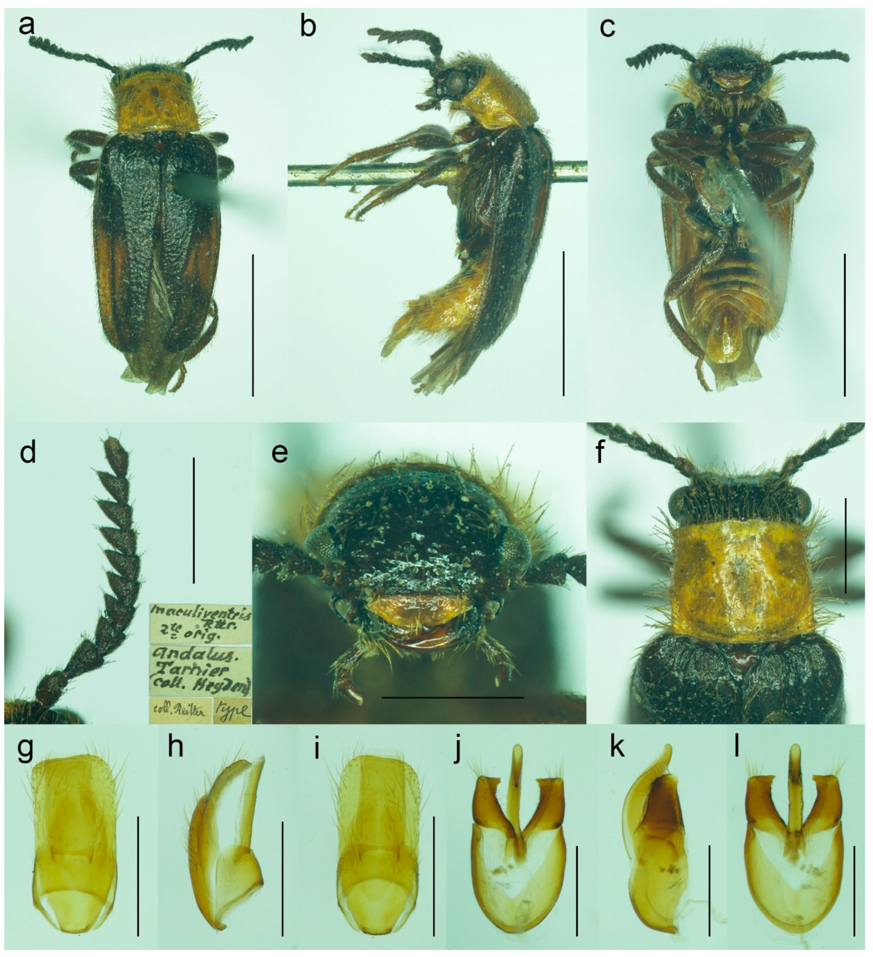 Biology 11 01503 g009