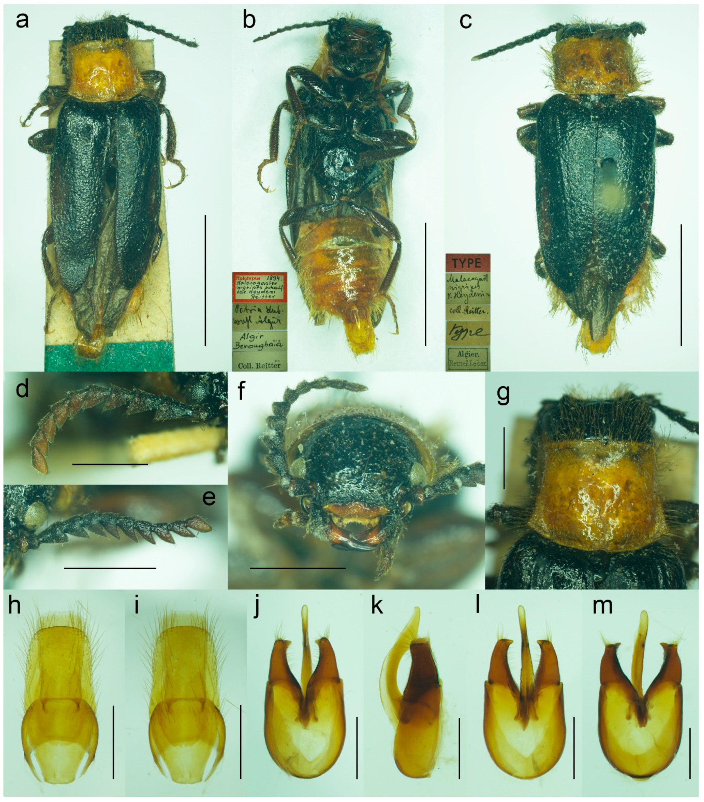Biology 11 01503 g013