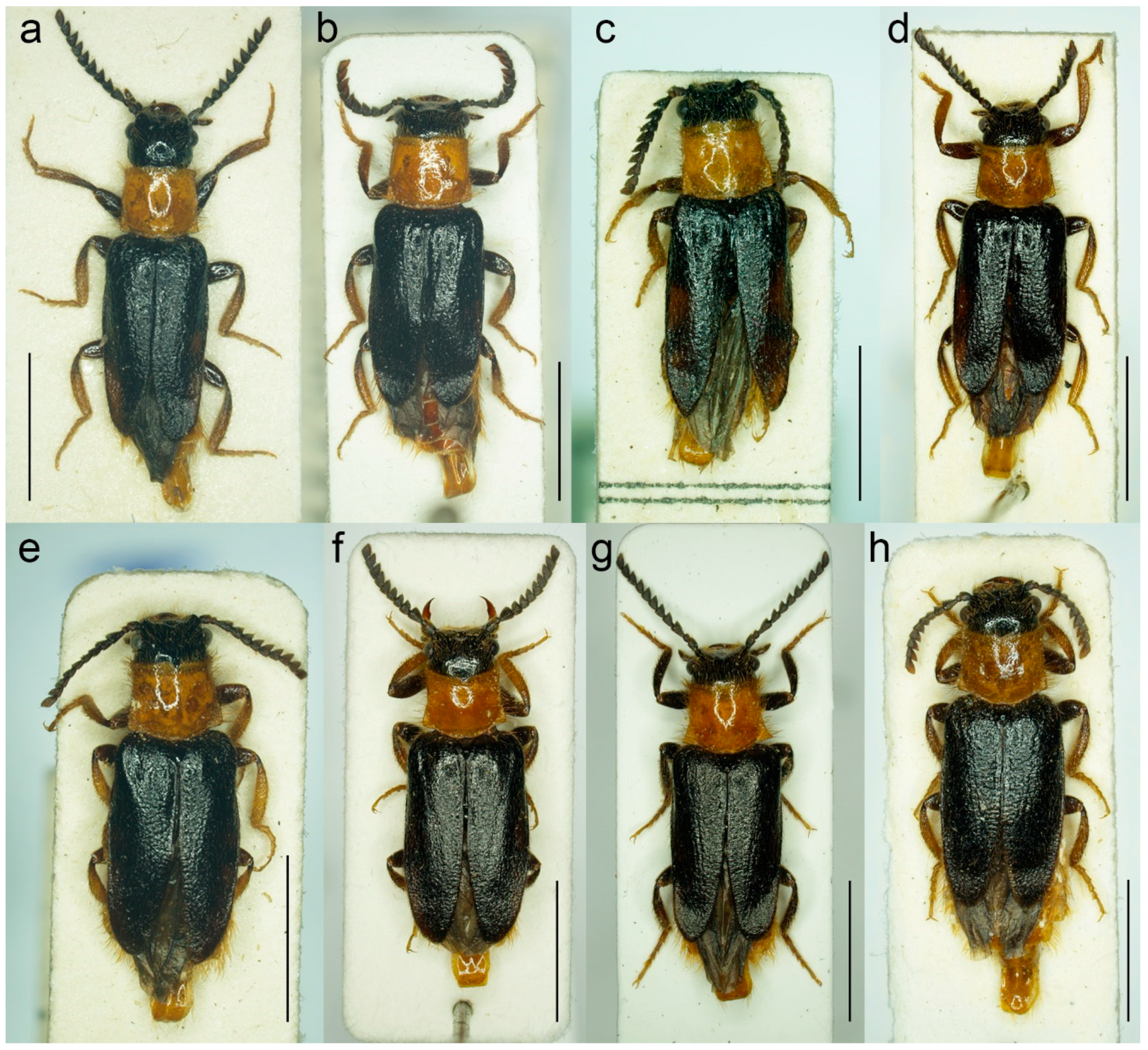 Biology 11 01503 g018