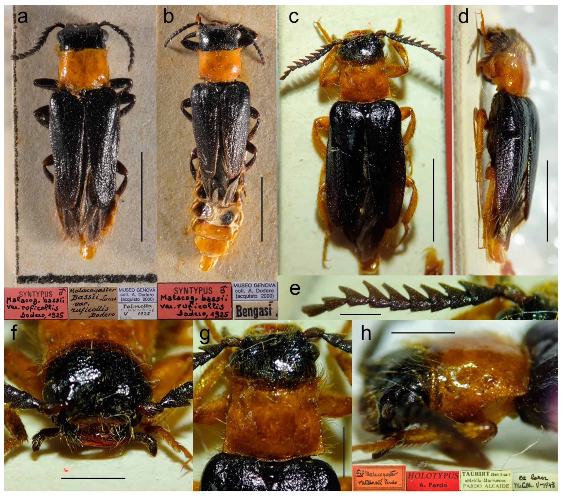 Biology 11 01503 g021
