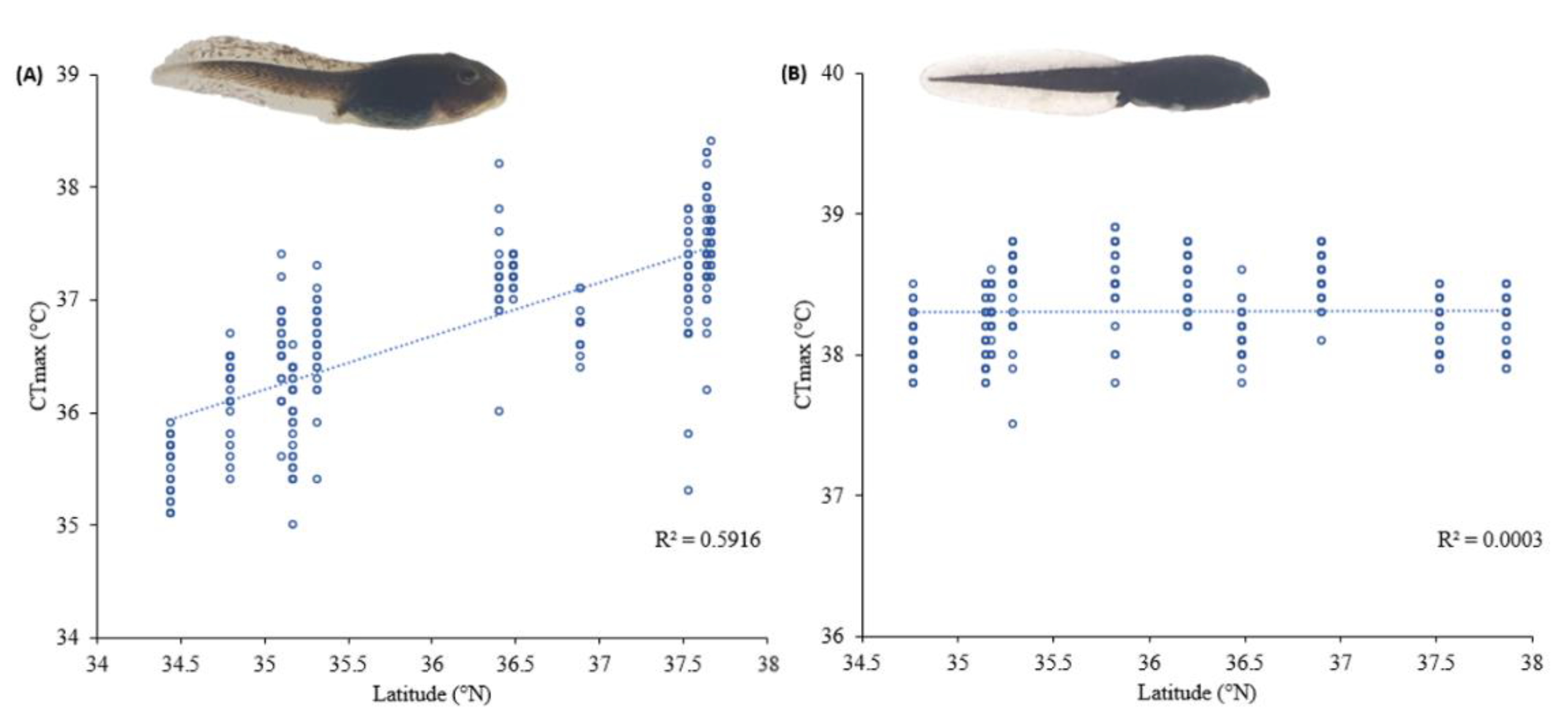 Biology 11 01506 g003 Biology 11 01506 g003