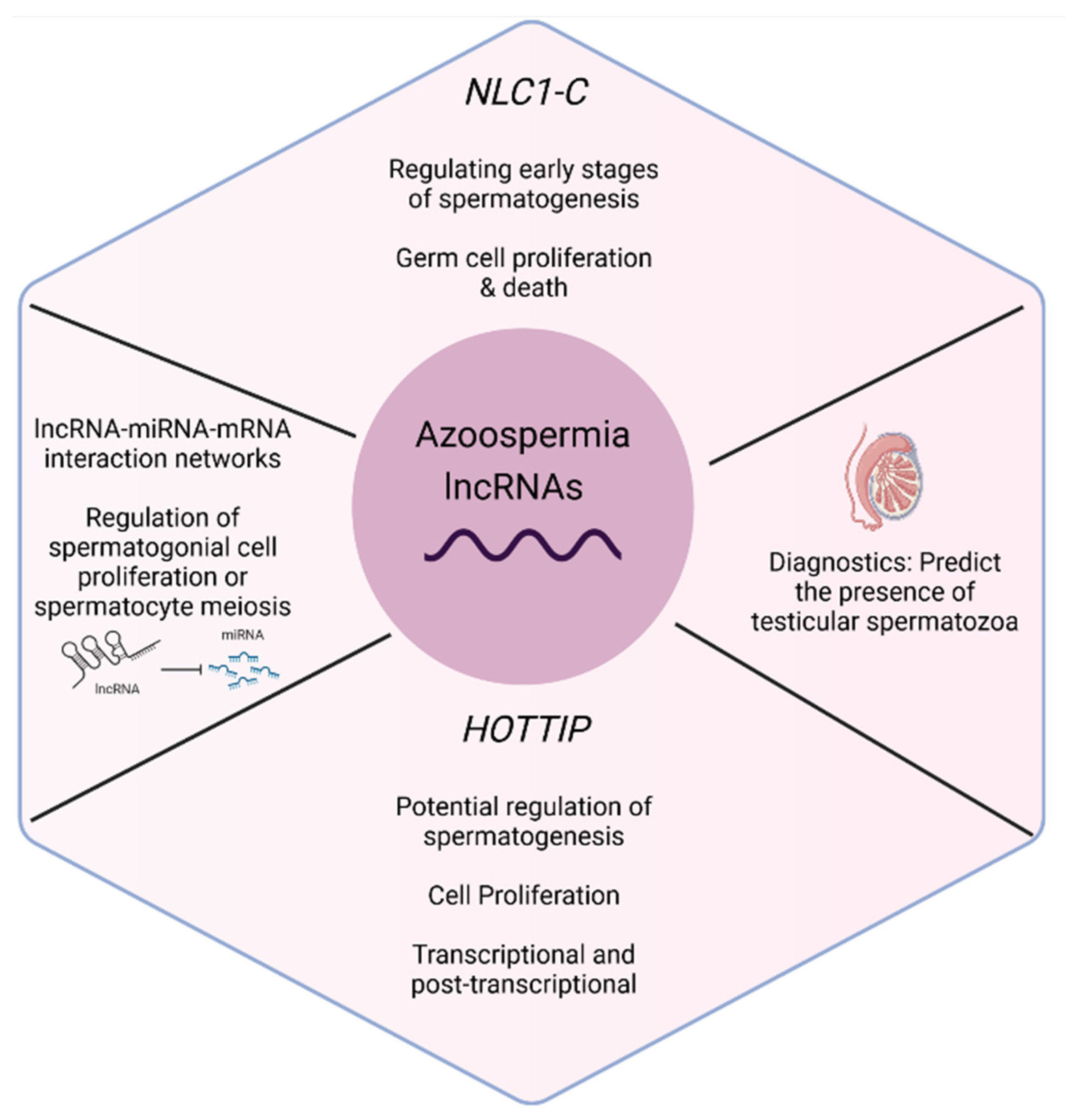 Biology 11 01510 g004
