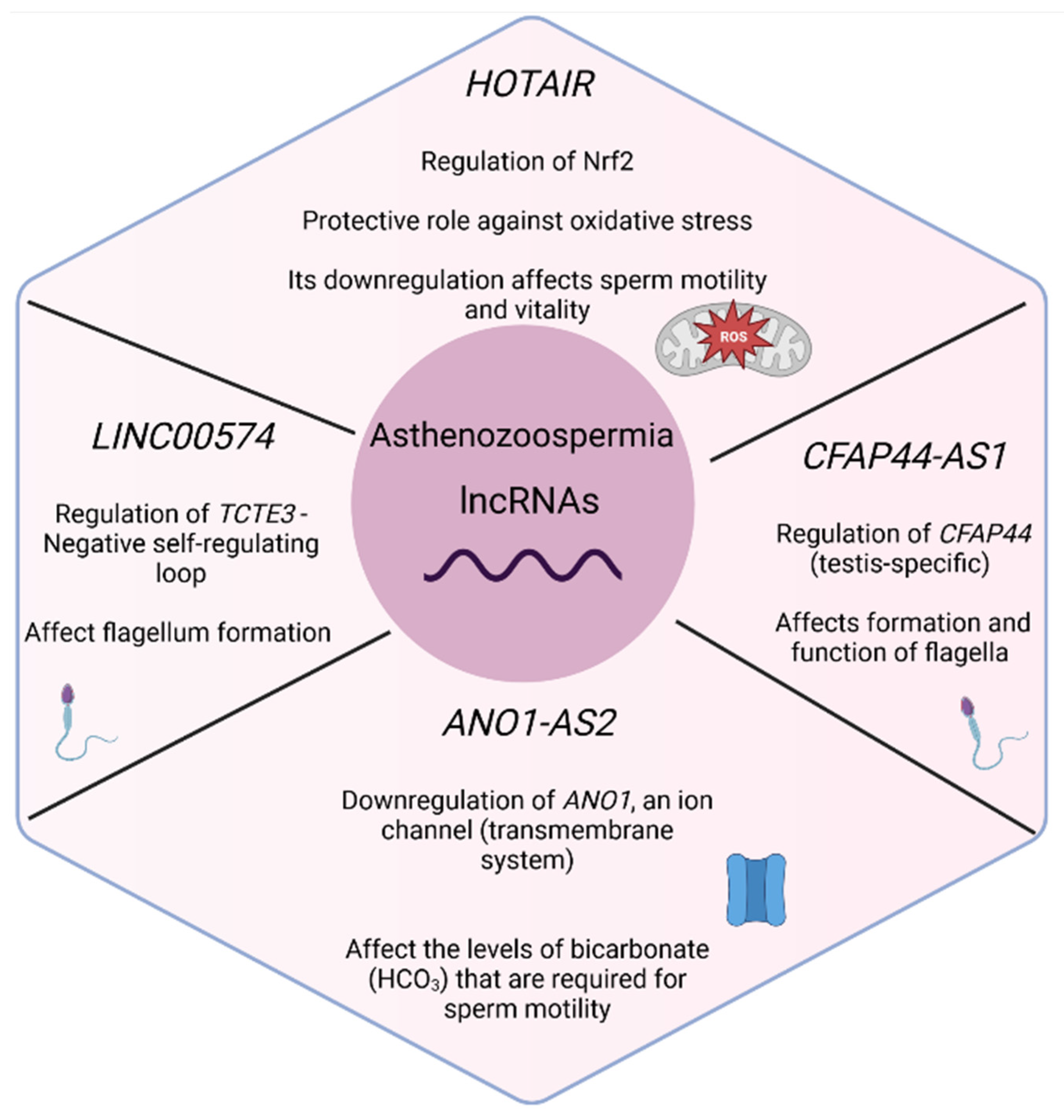 Biology 11 01510 g005