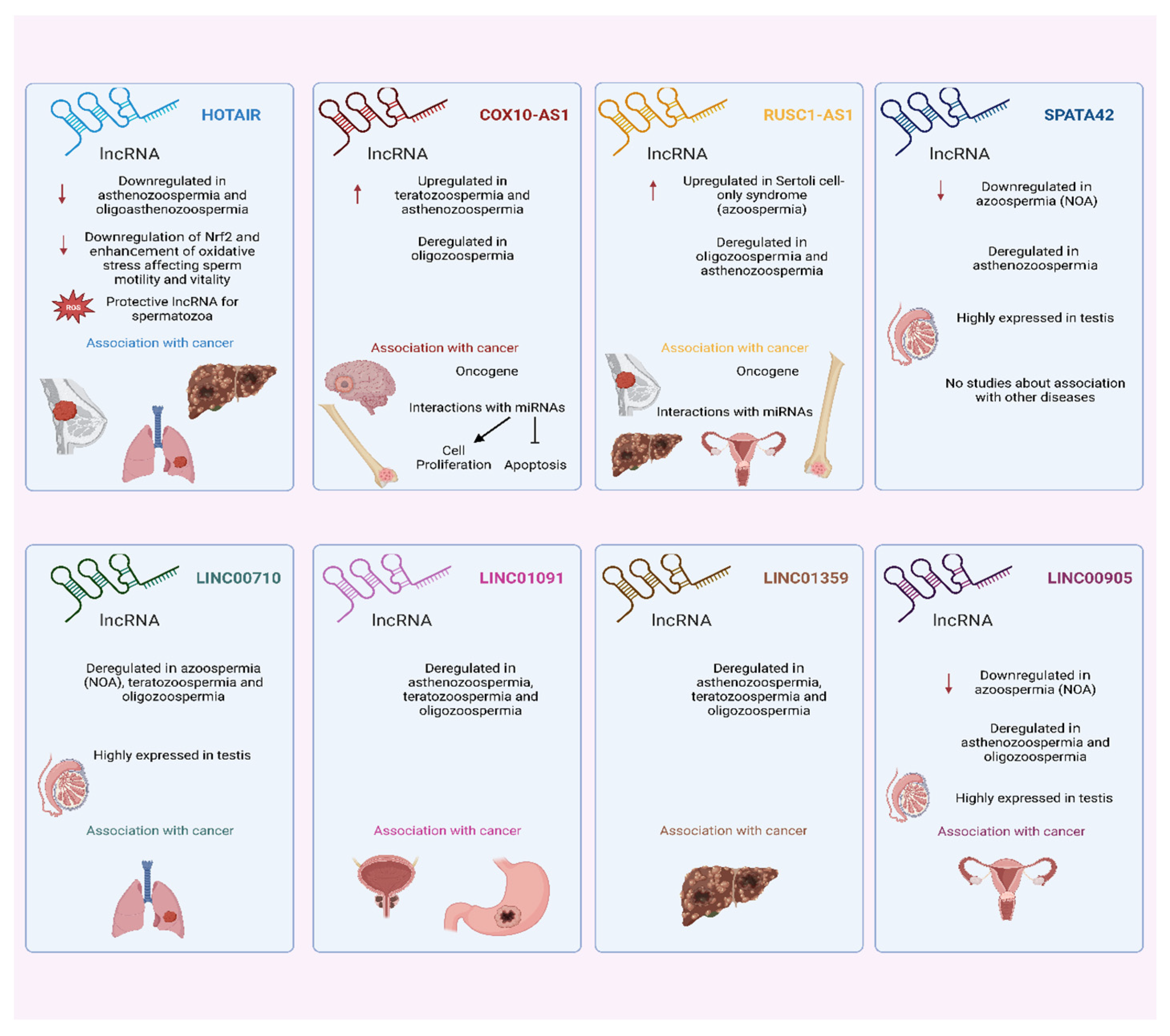 Biology 11 01510 g009
