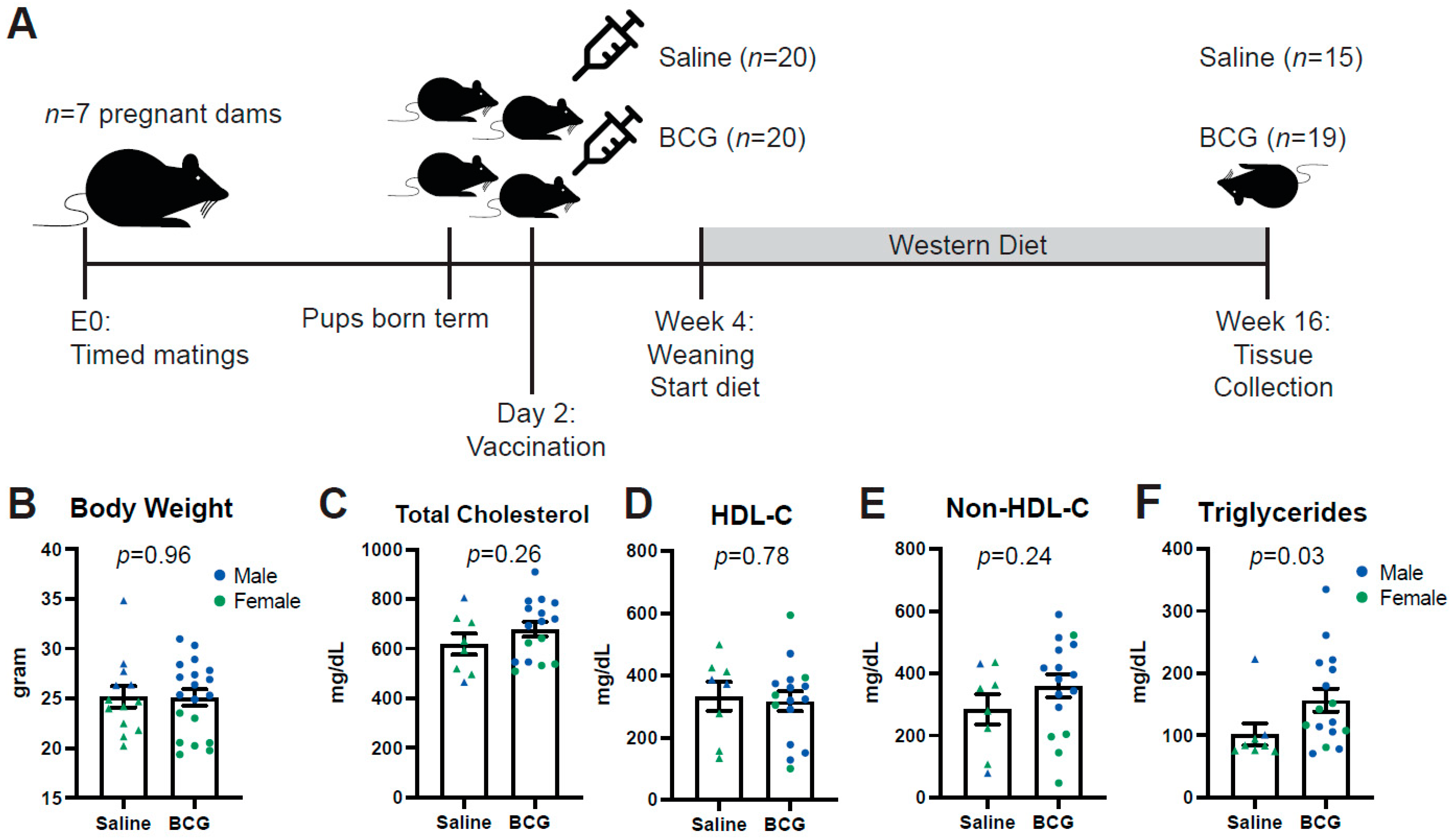 Biology 11 01511 g001