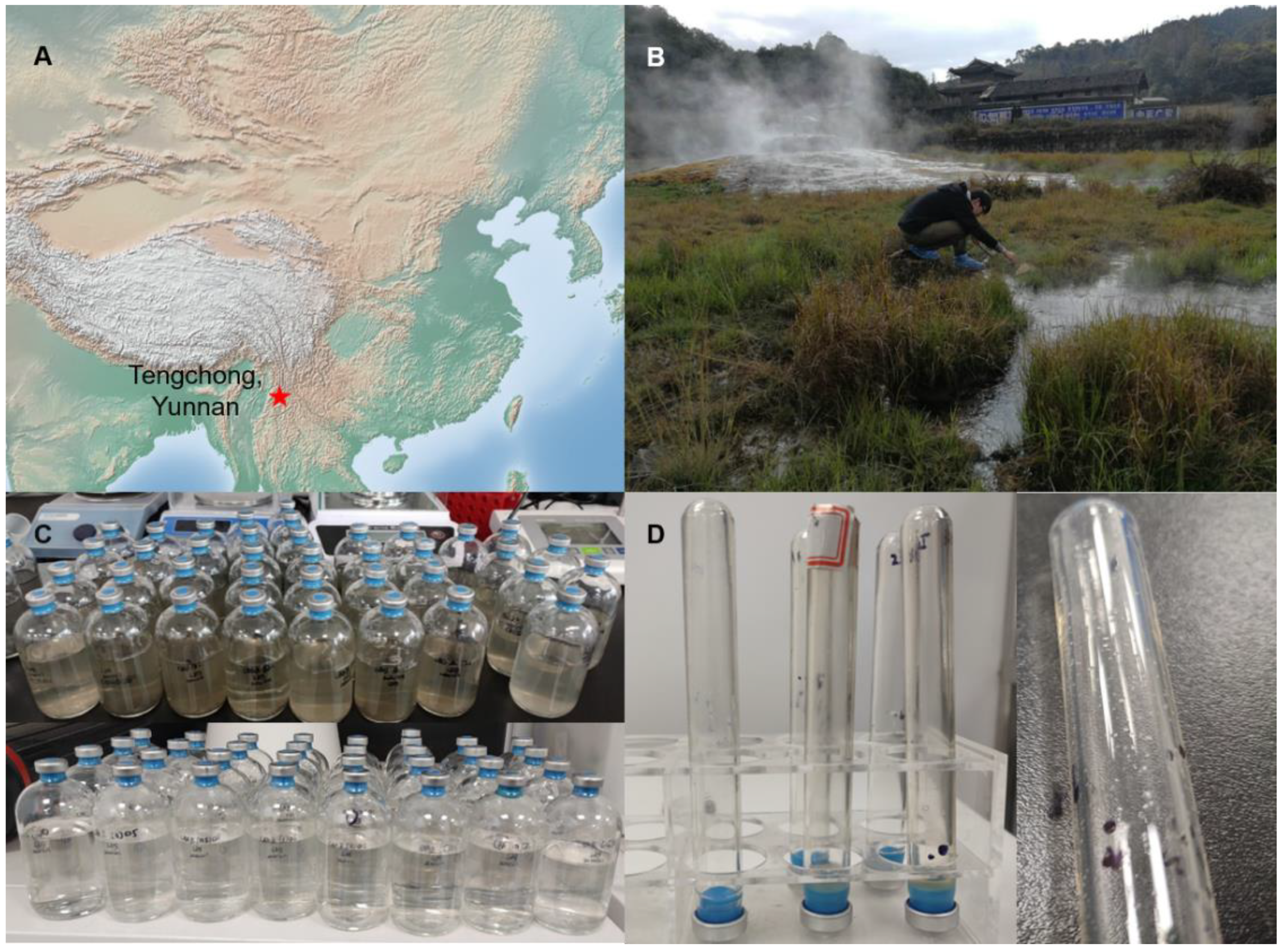 Biology 11 01514 g001