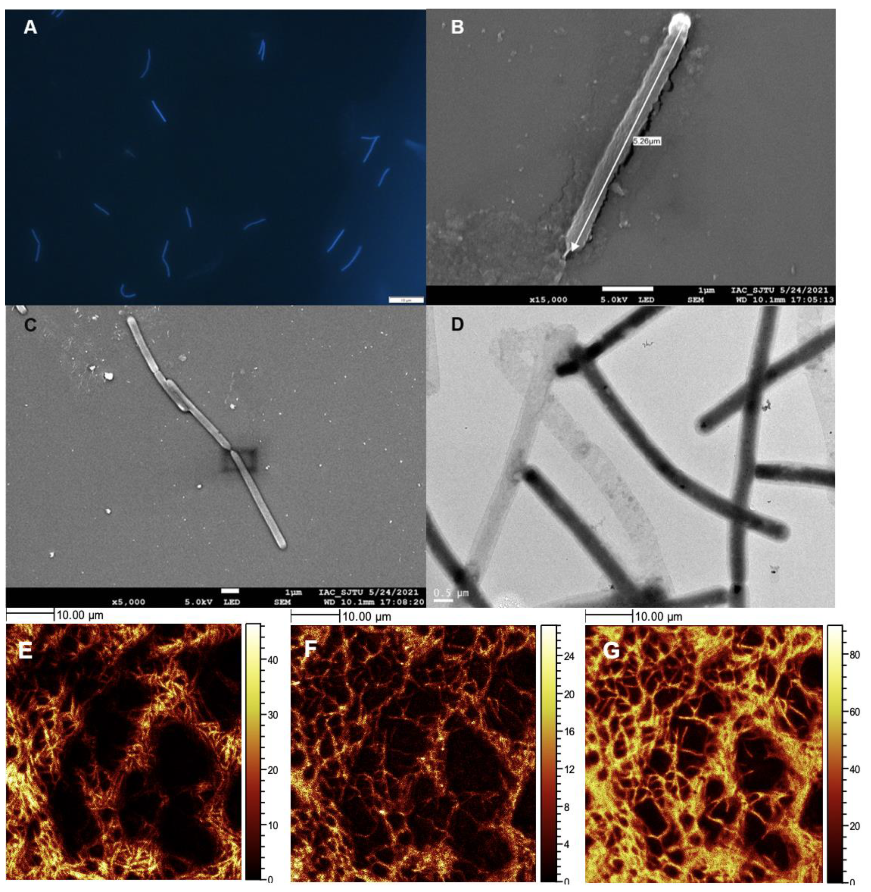 Biology 11 01514 g002
