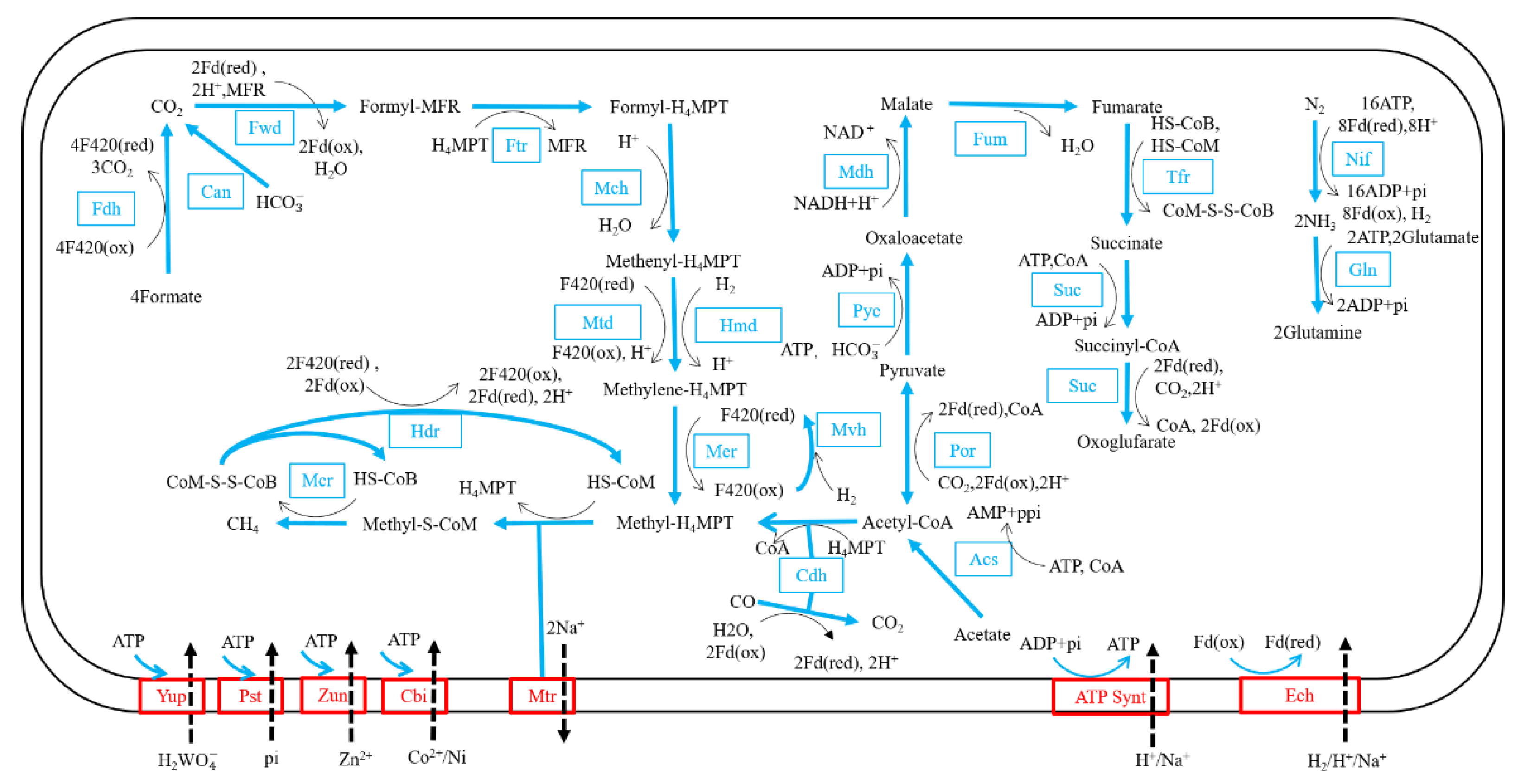 Biology 11 01514 g006