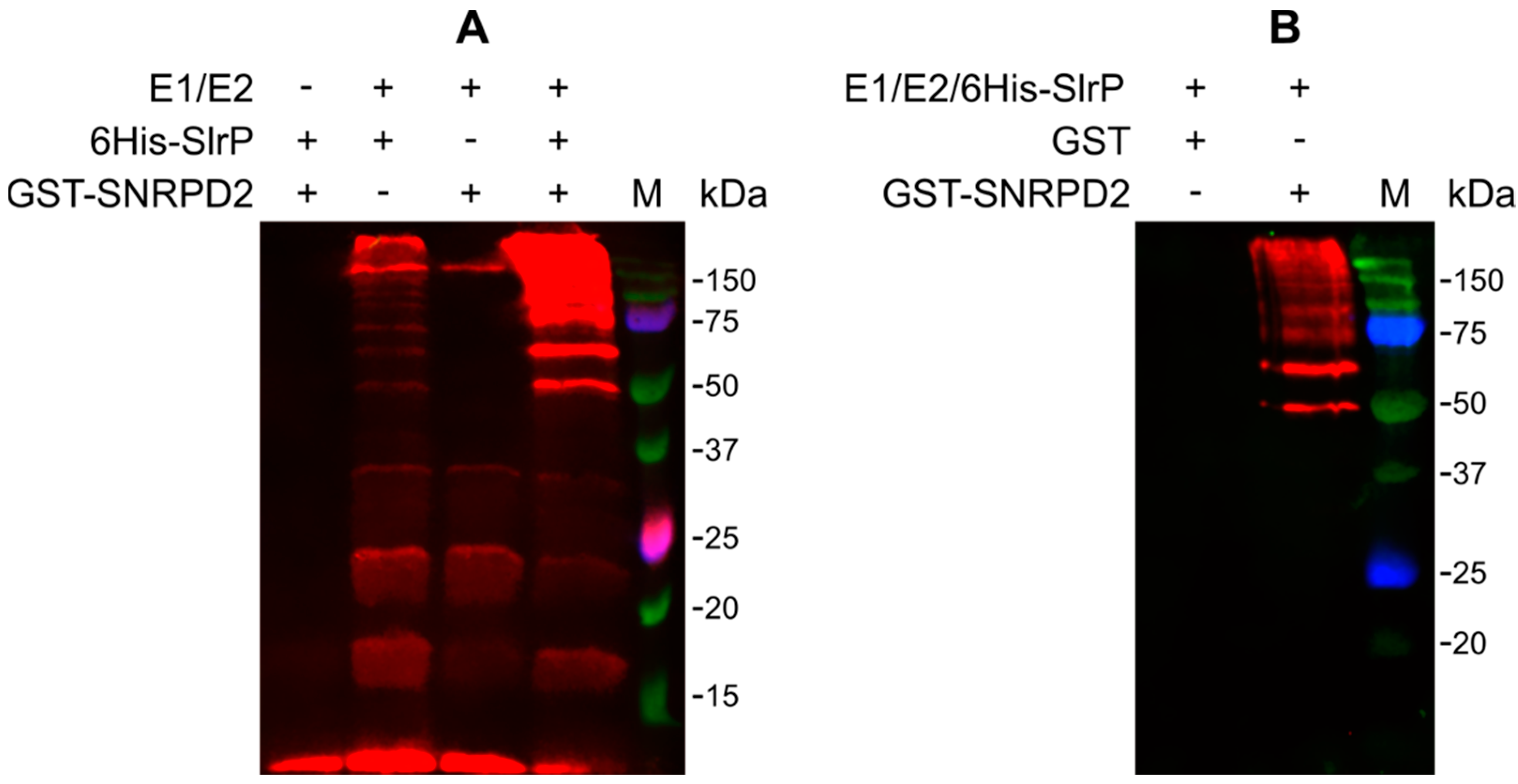 Biology 11 01517 g003