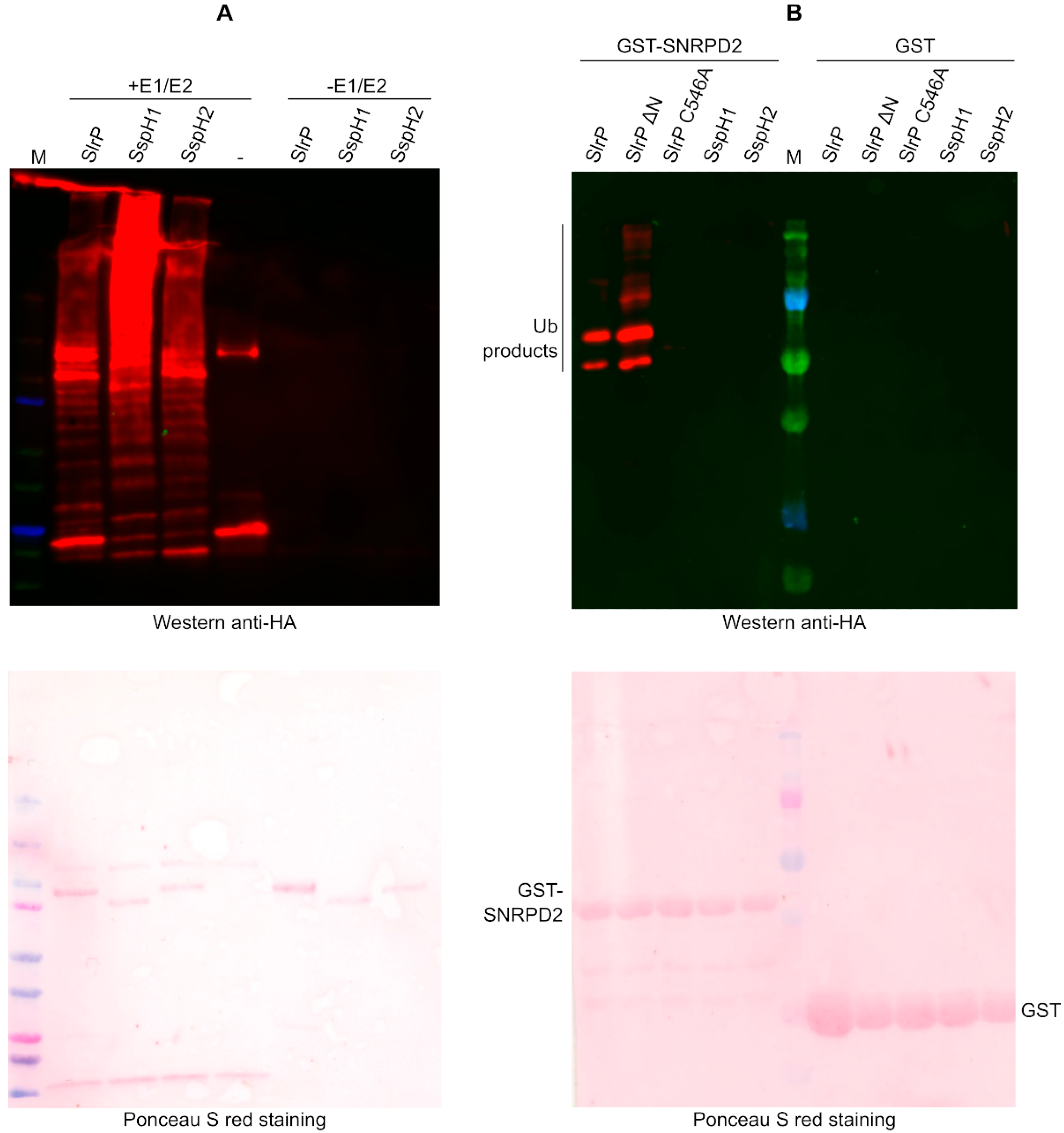 Biology 11 01517 g005