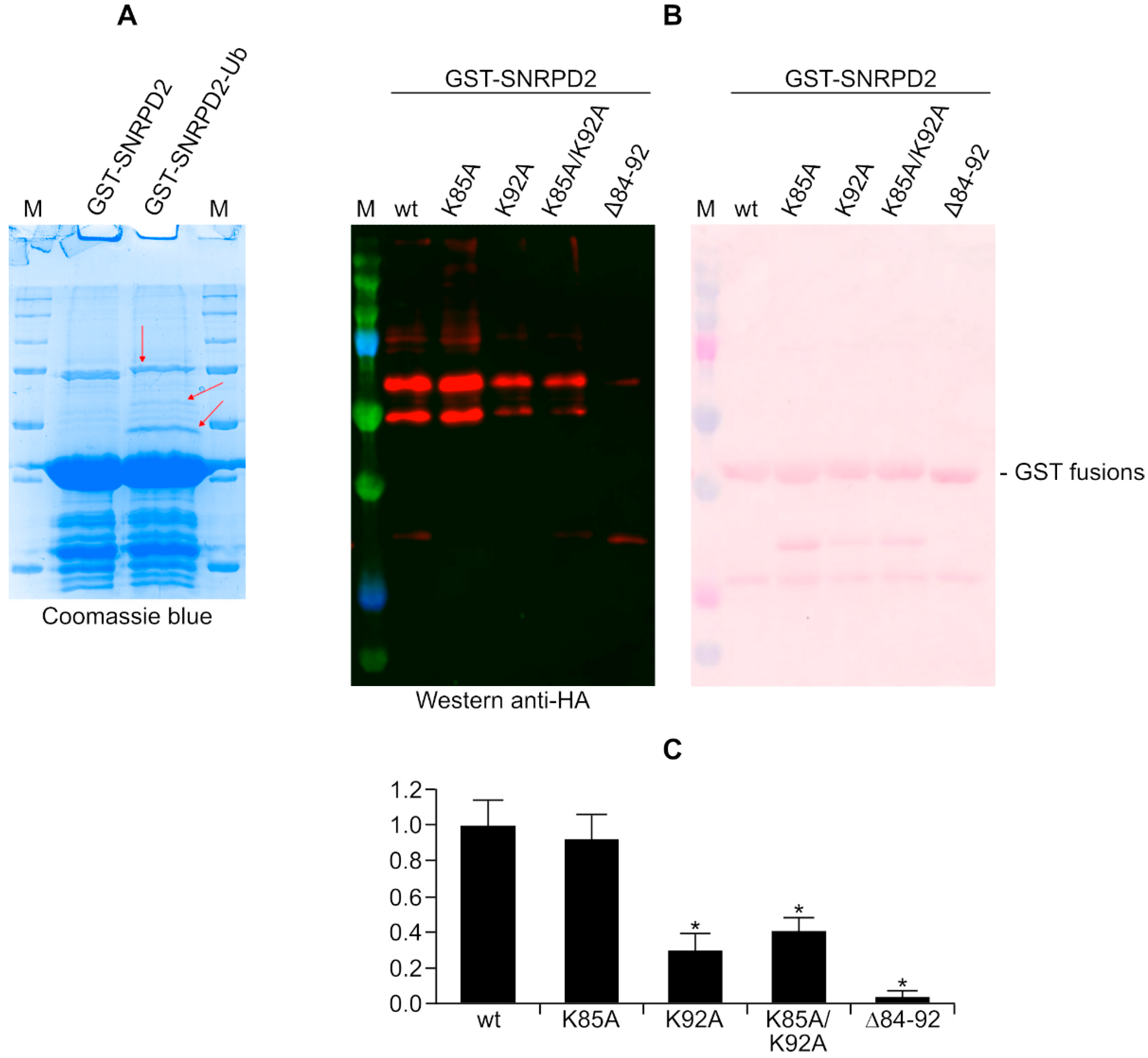 Biology 11 01517 g006