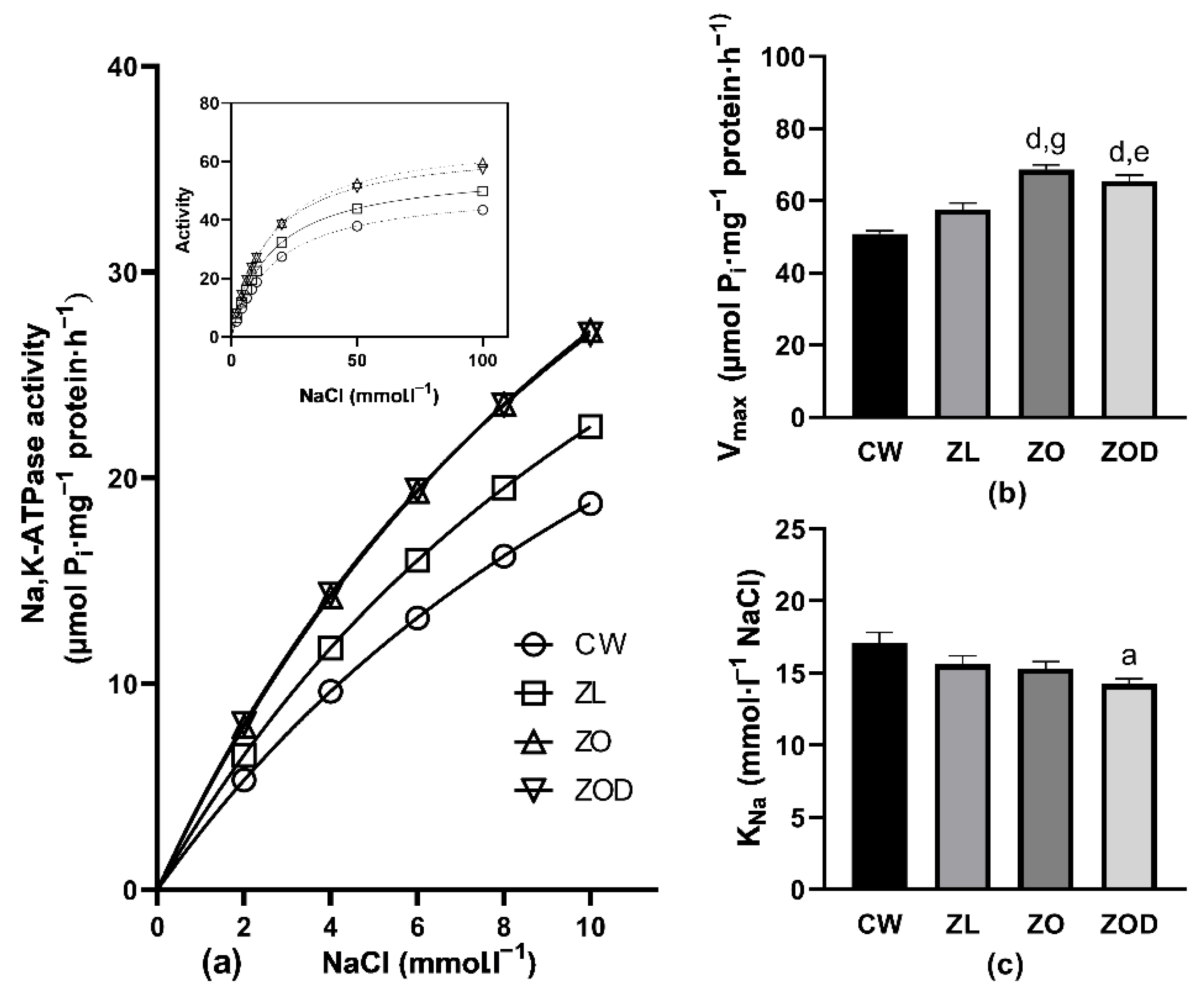Biology 11 01519 g001 Biology 11 01519 g001