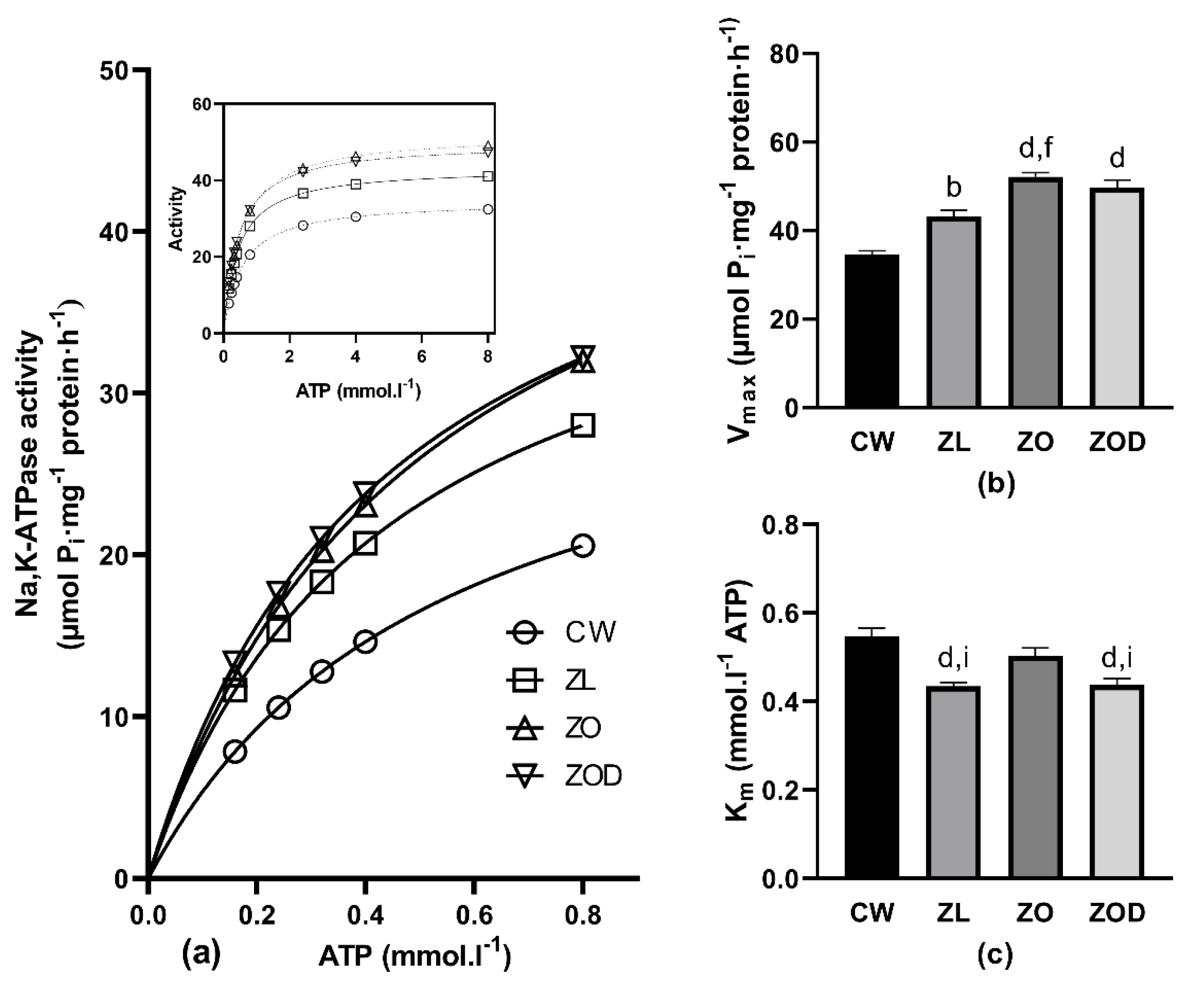 Biology 11 01519 g002 Biology 11 01519 g002