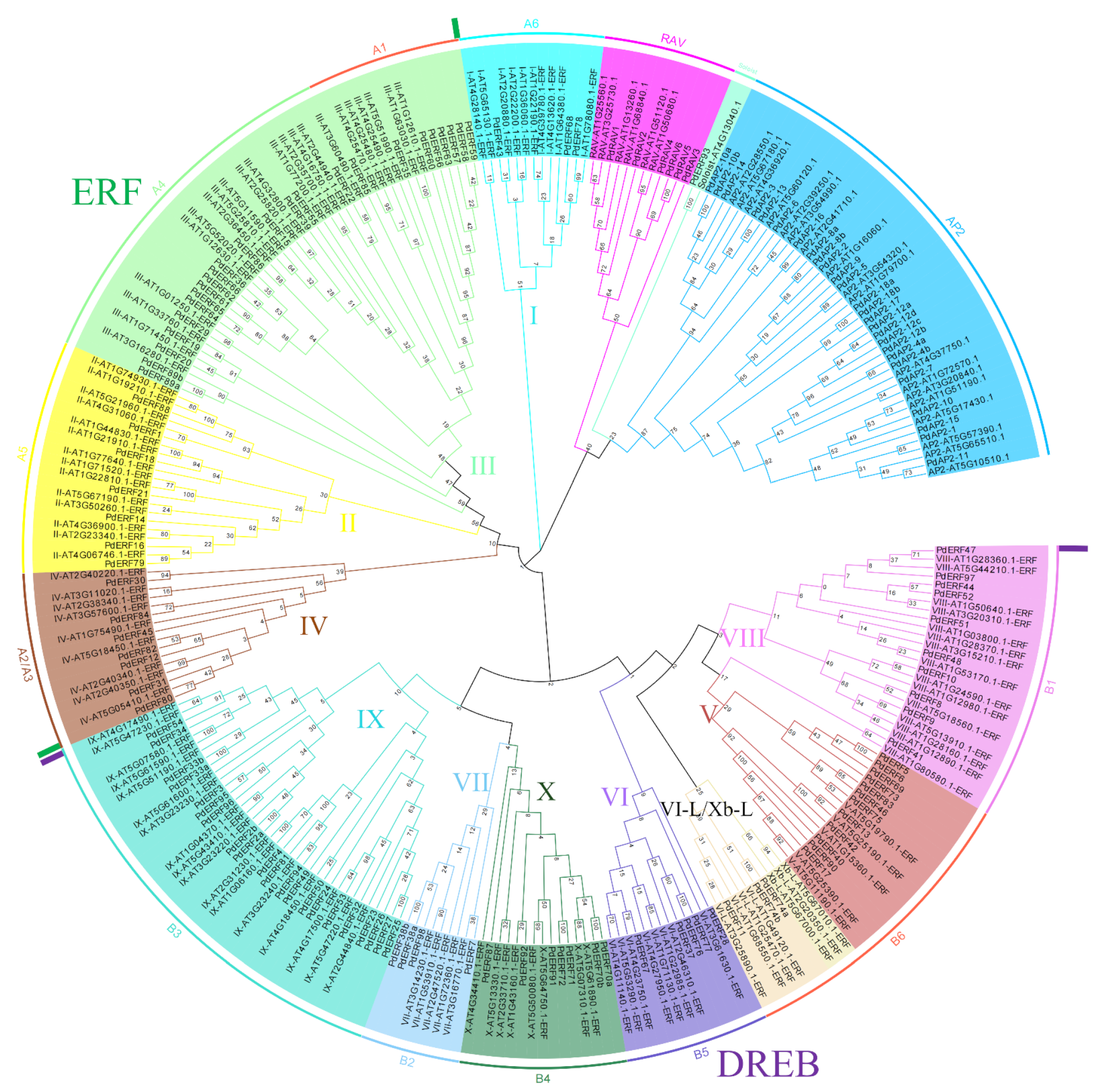 Biology 11 01520 g001 Biology 11 01520 g001