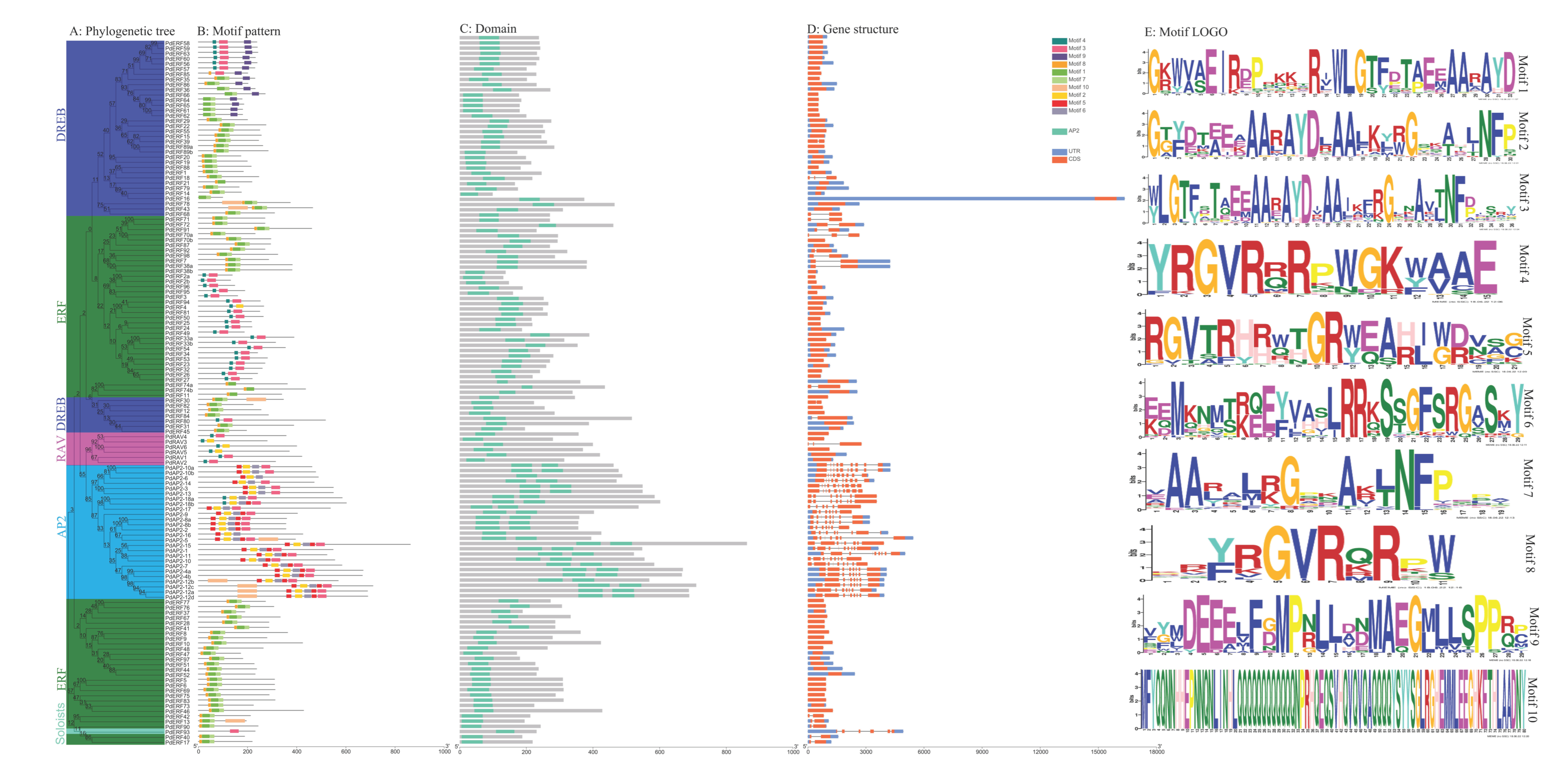 Biology 11 01520 g002 Biology 11 01520 g002