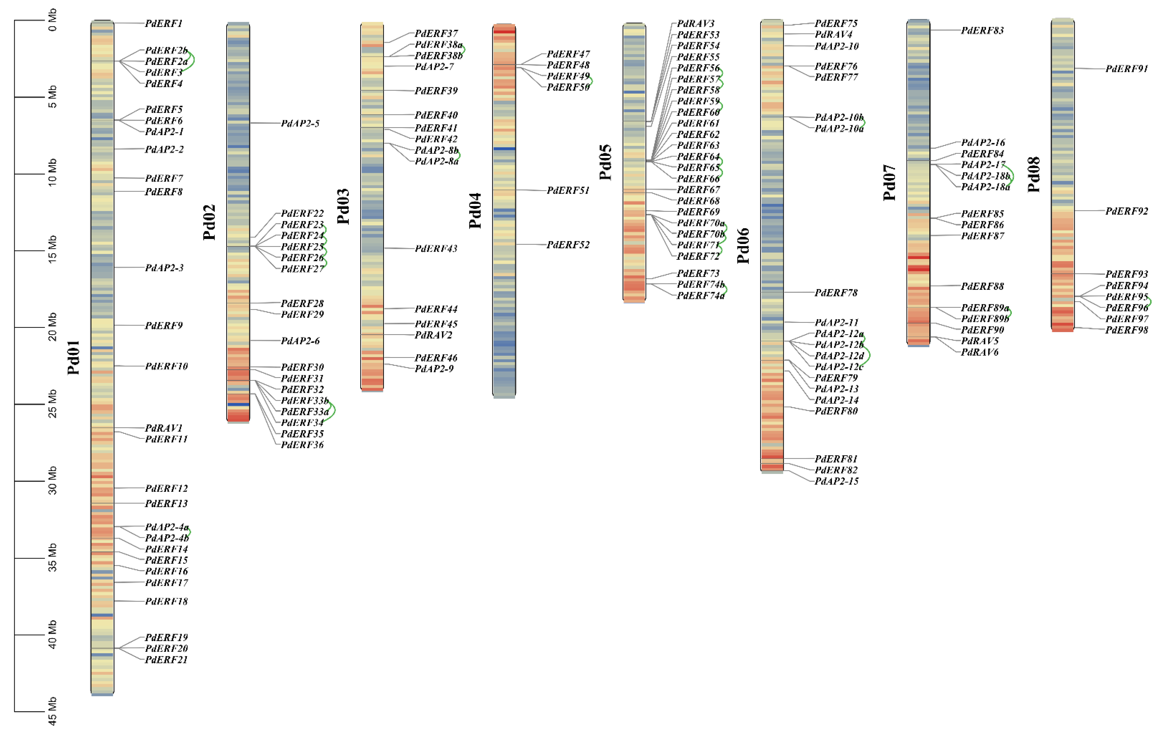 Biology 11 01520 g003 Biology 11 01520 g003