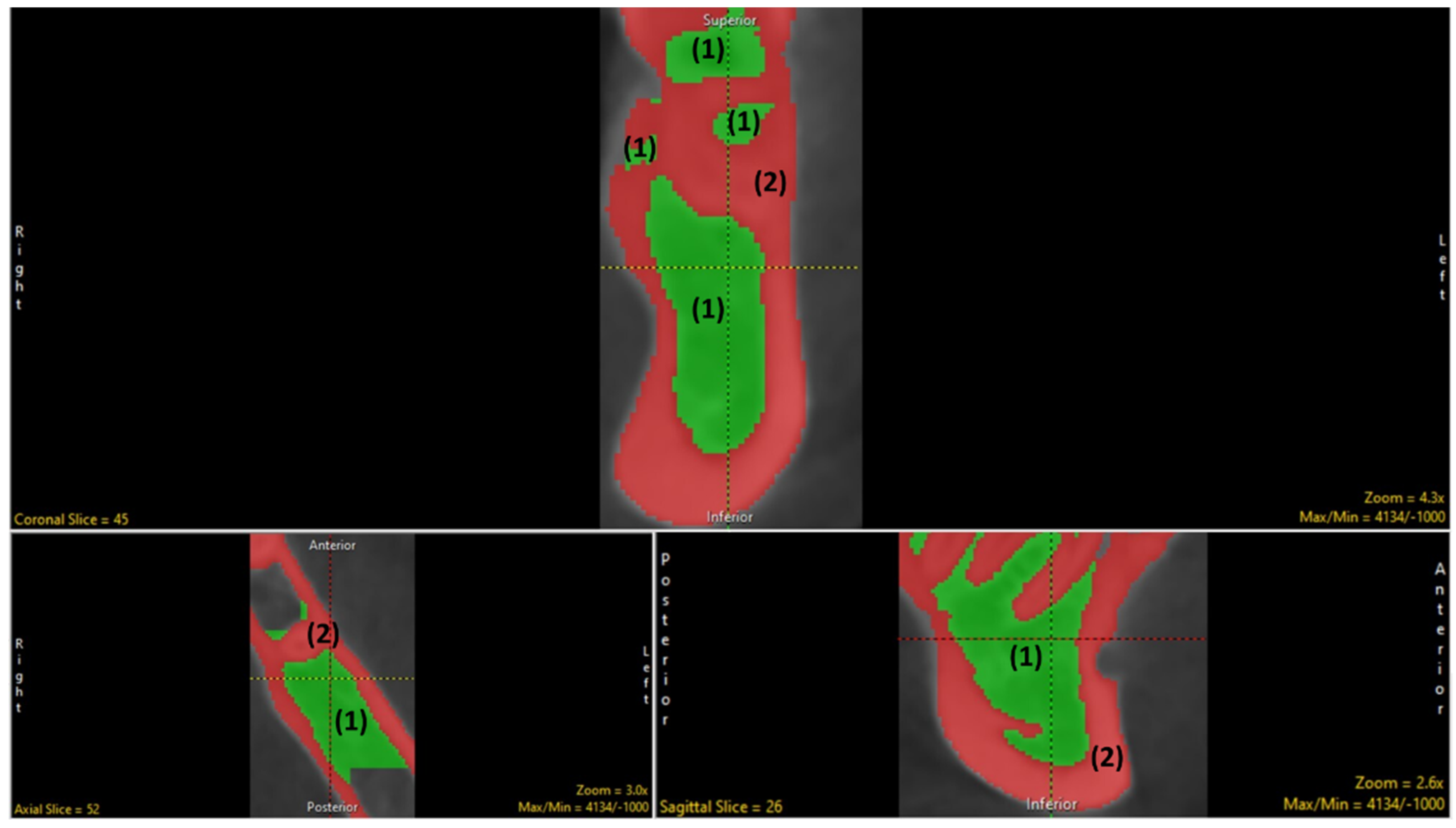 Biology 11 01521 g003