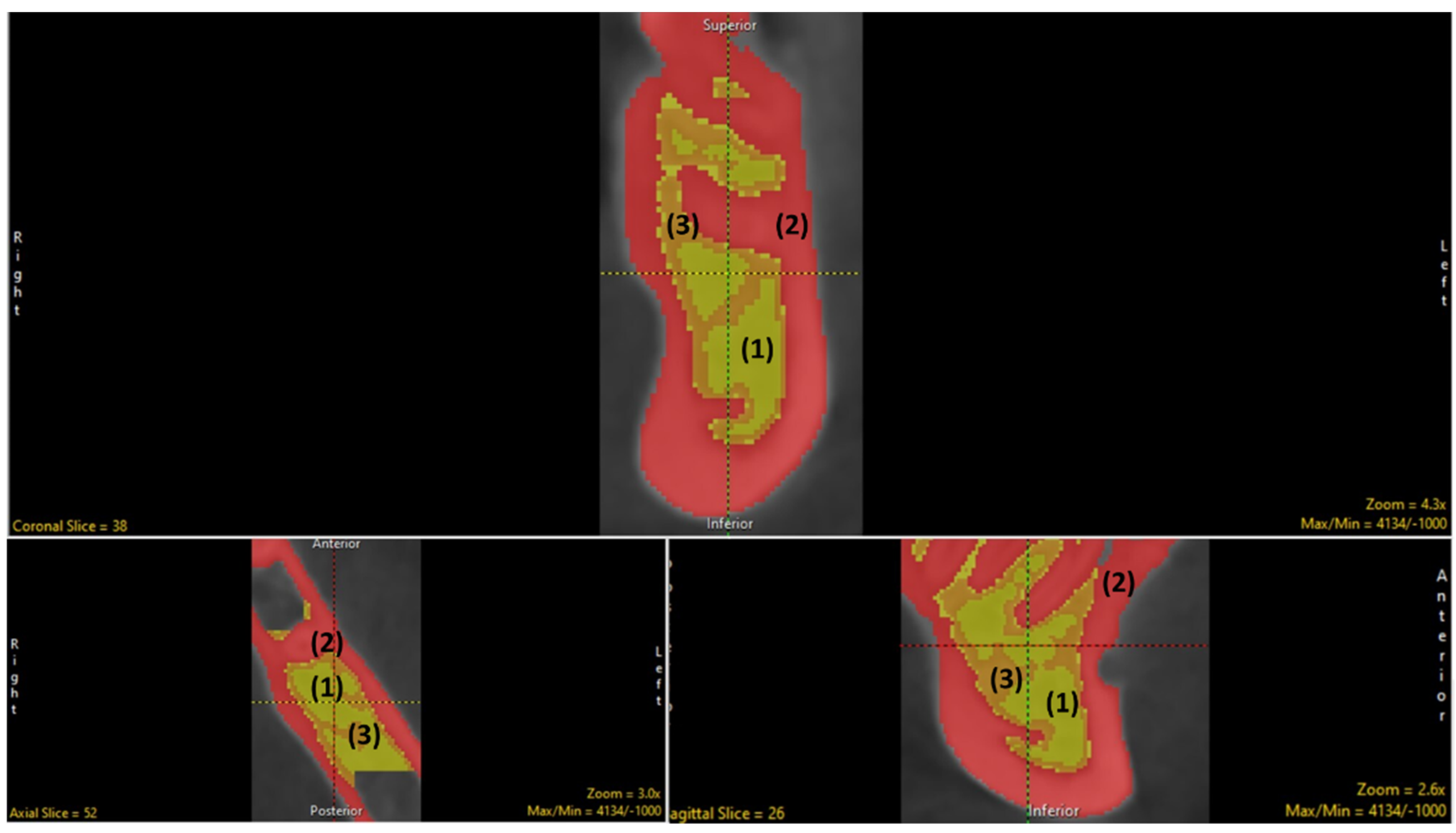 Biology 11 01521 g004
