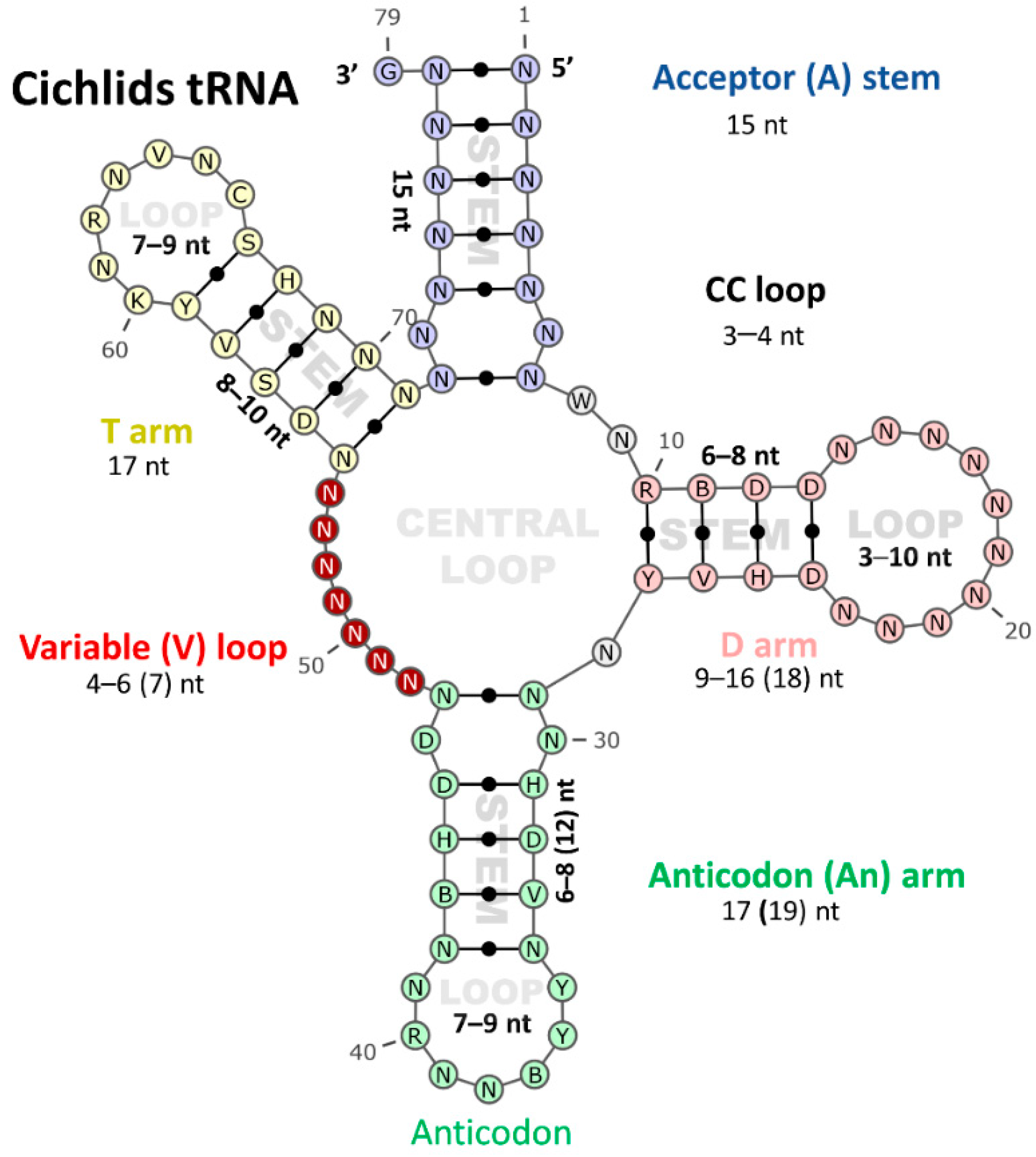 Biology 11 01522 g002 Biology 11 01522 g002