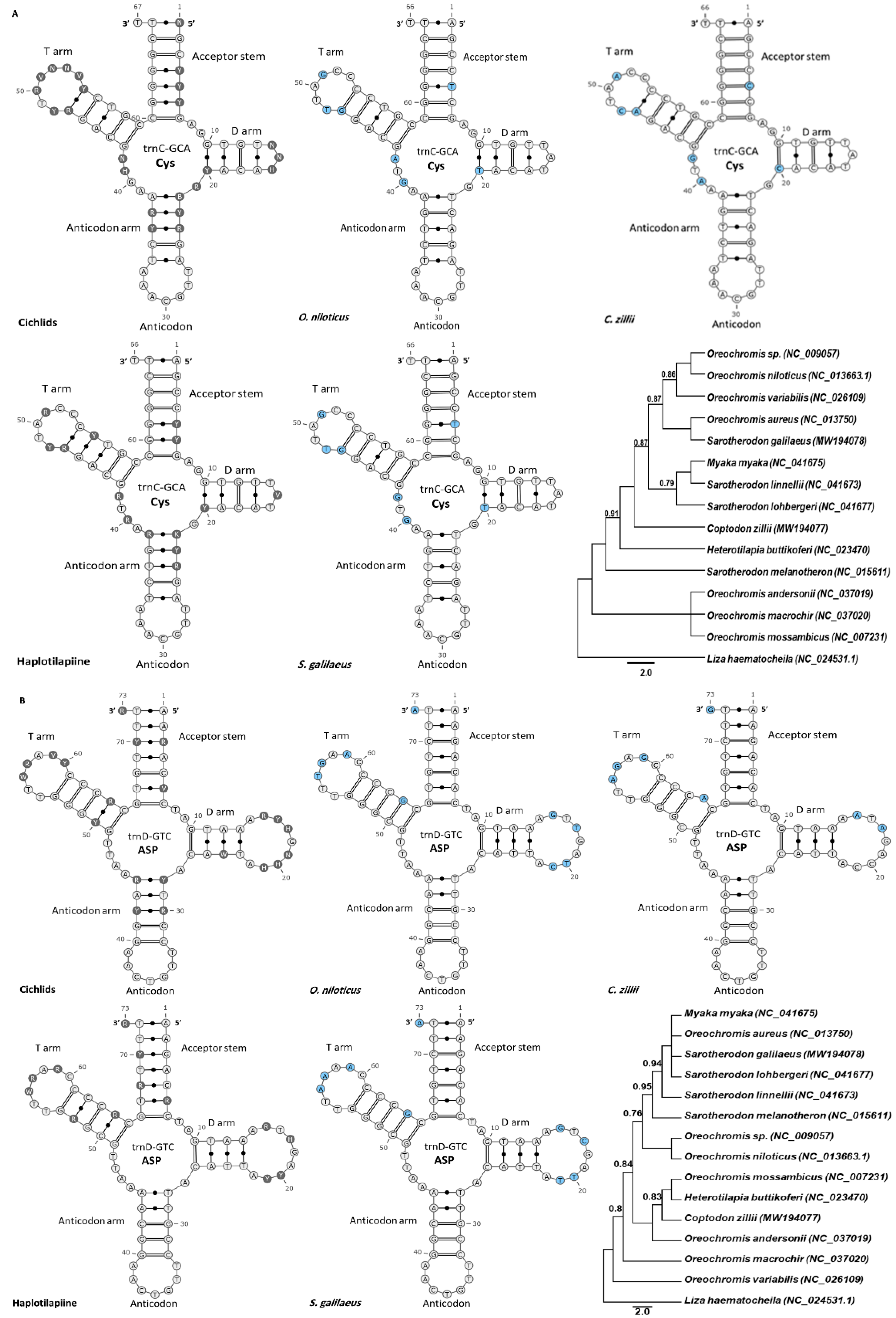 Biology 11 01522 g005 Biology 11 01522 g005