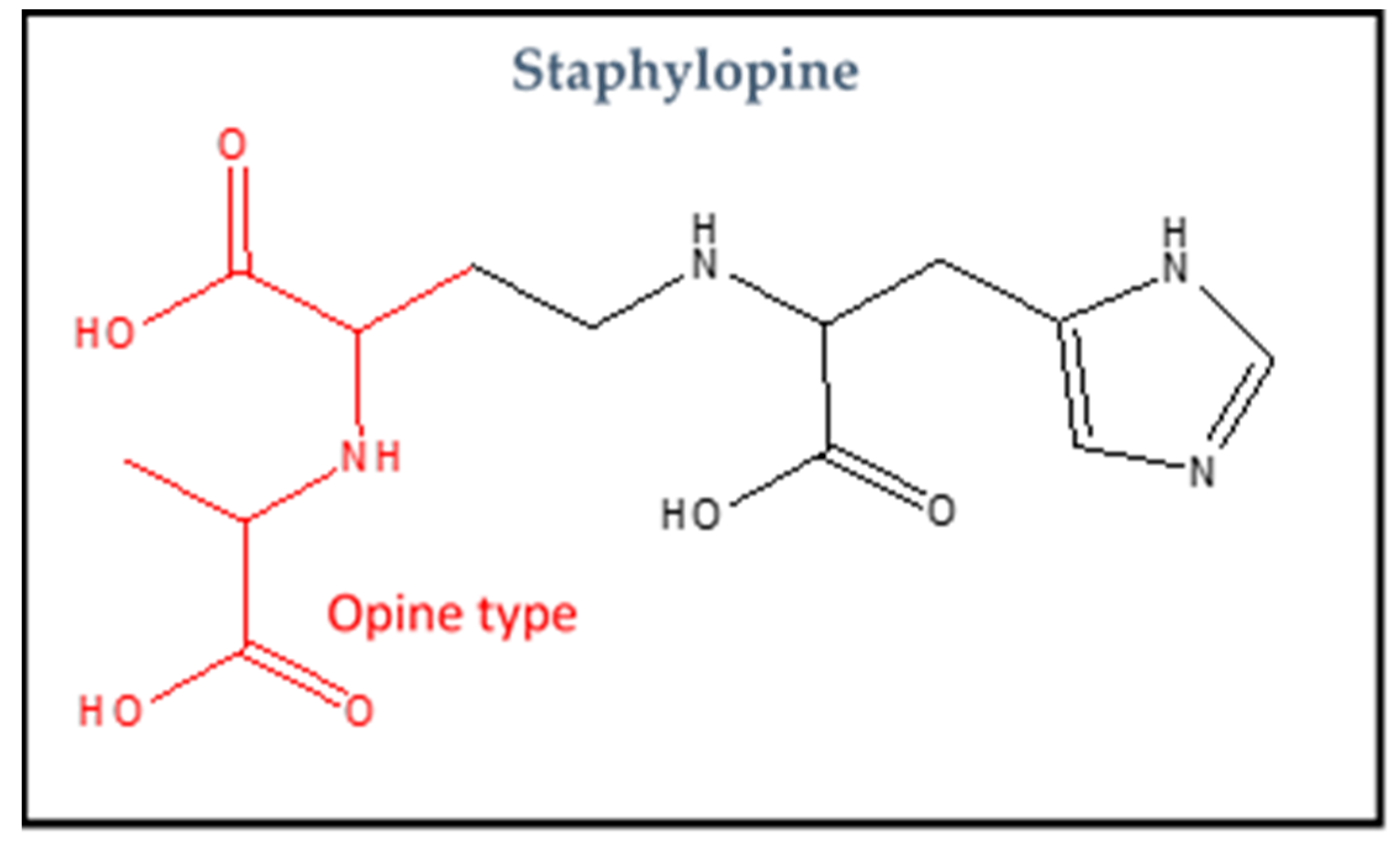 Biology 11 01525 g002 Biology 11 01525 g002