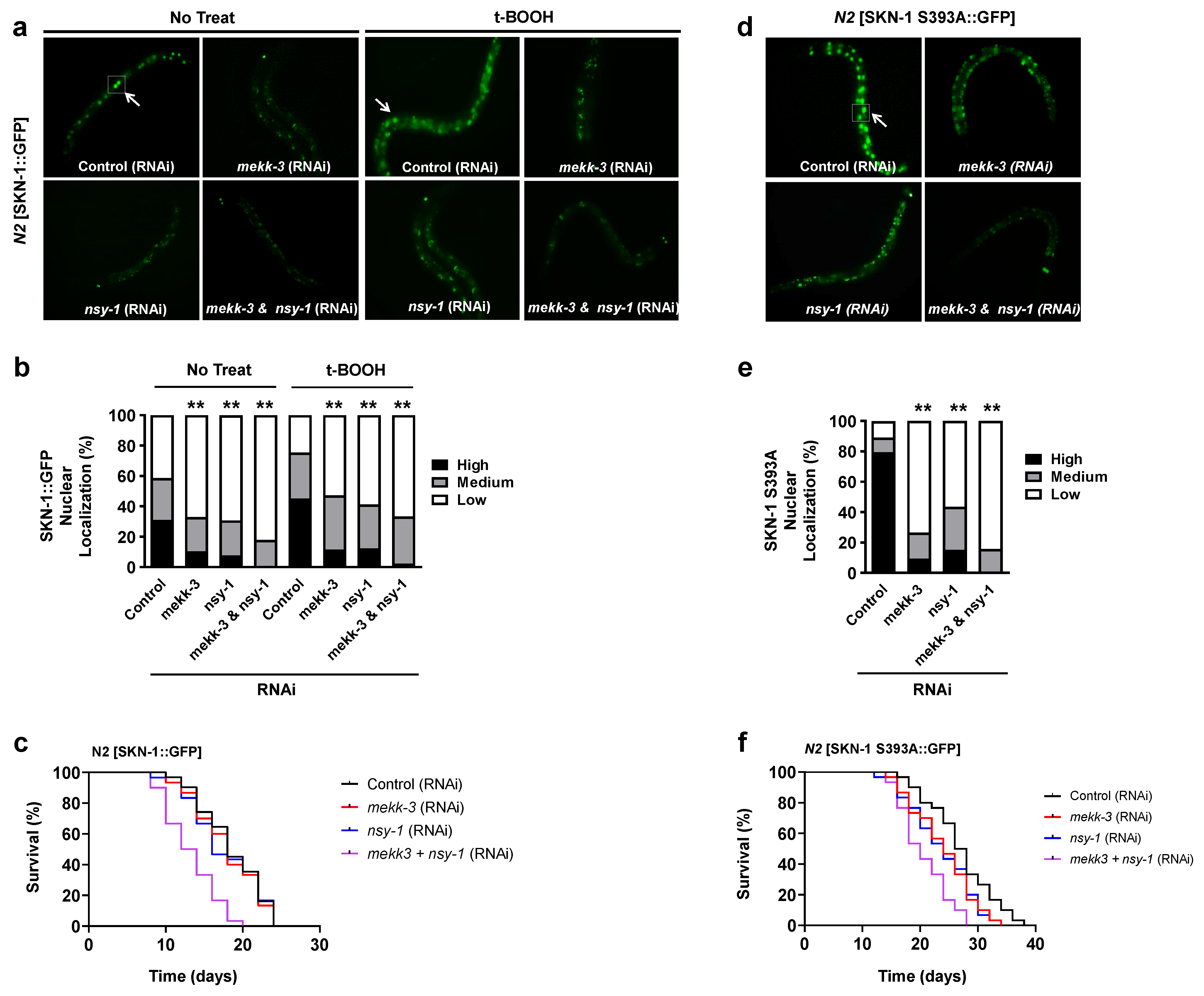 Biology 11 01526 g003 Biology 11 01526 g003