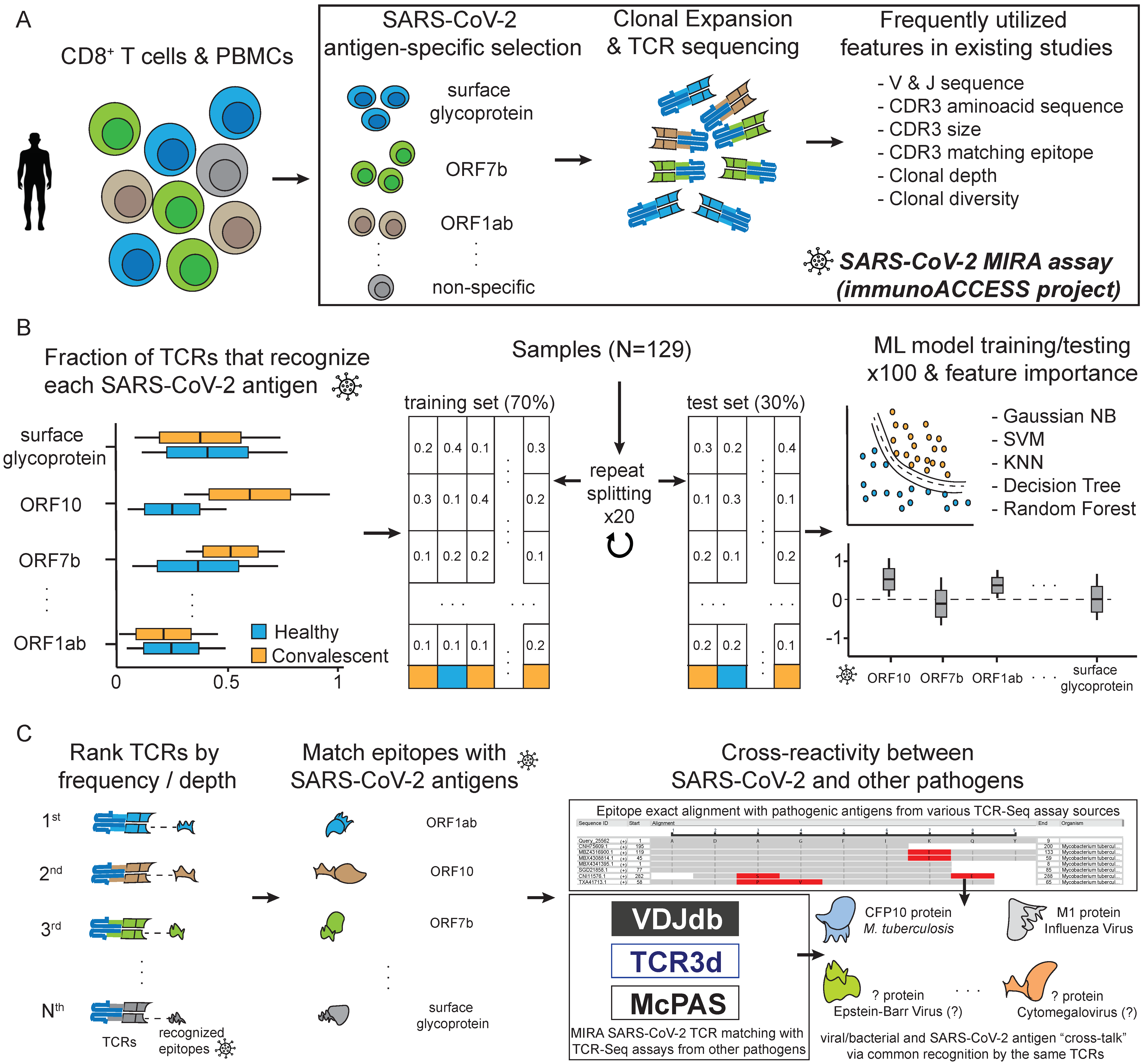 Biology 11 01531 g001 Biology 11 01531 g001
