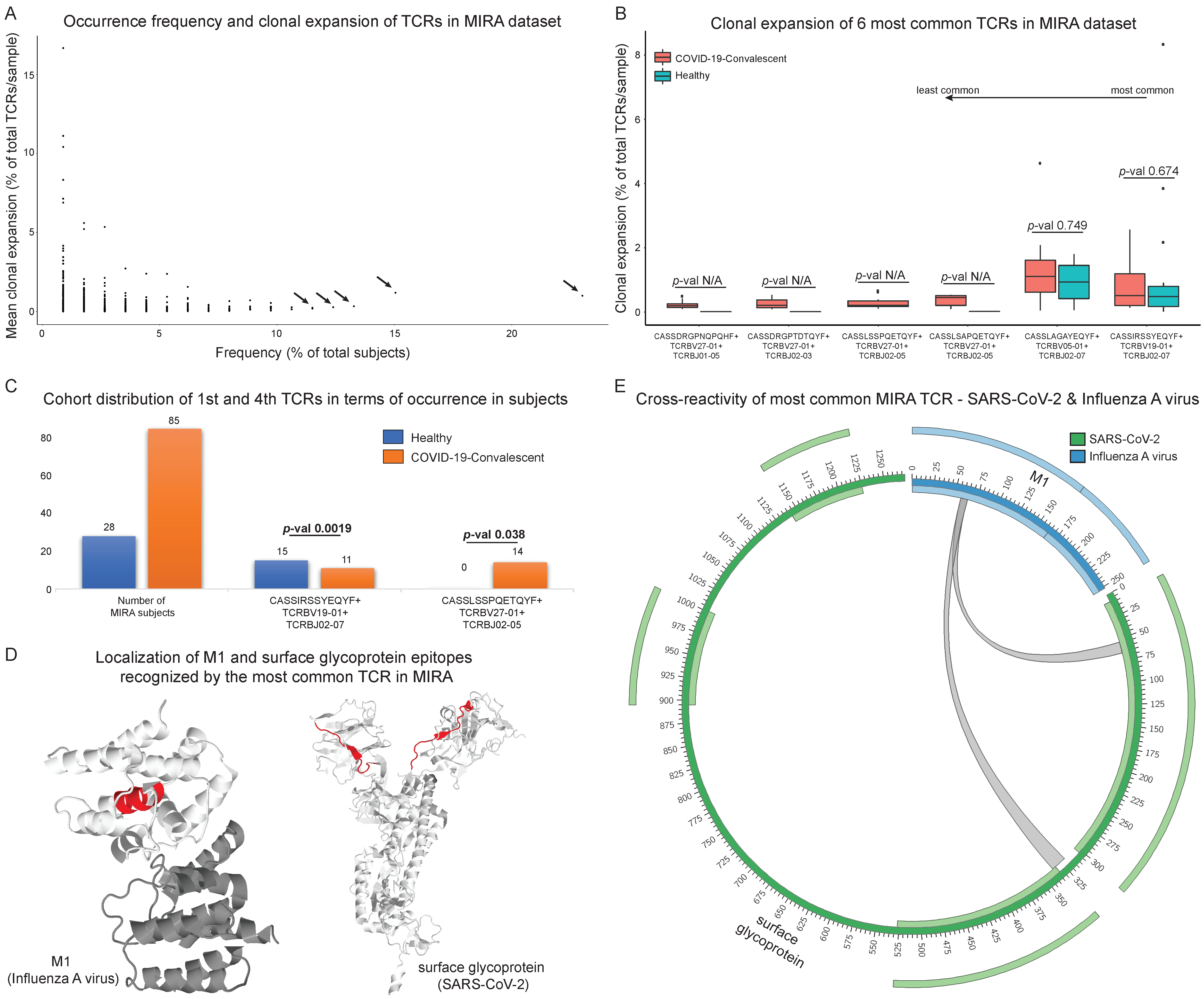Biology 11 01531 g004 Biology 11 01531 g004