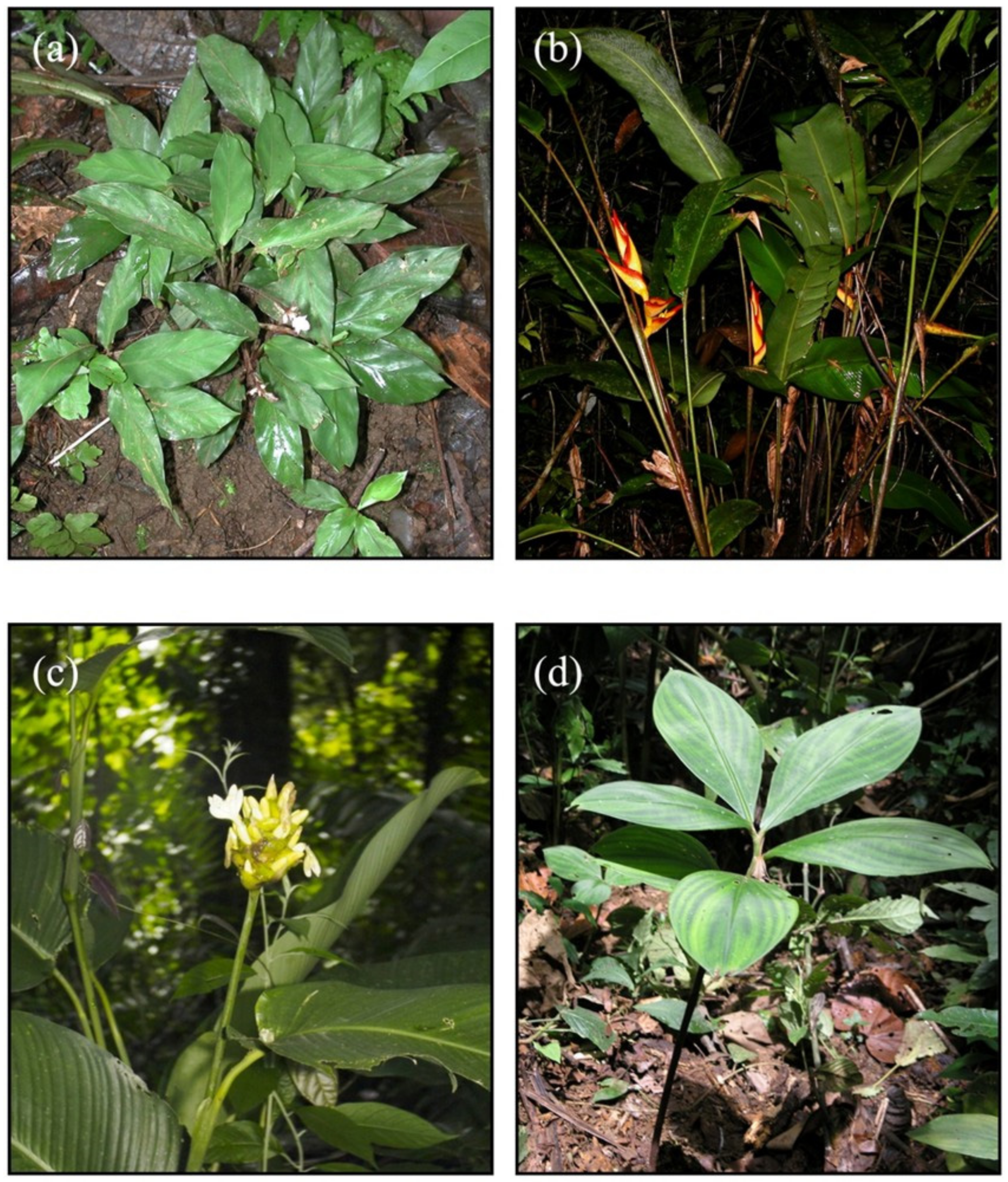 Biology 11 01532 g001 Biology 11 01532 g001