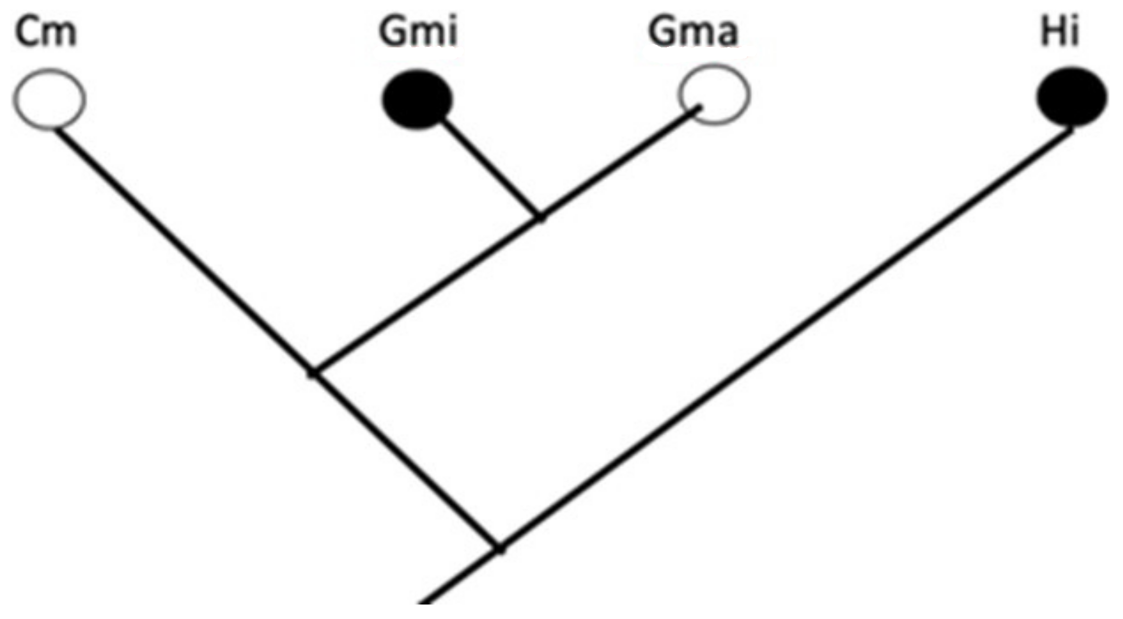 Biology 11 01532 g002 Biology 11 01532 g002