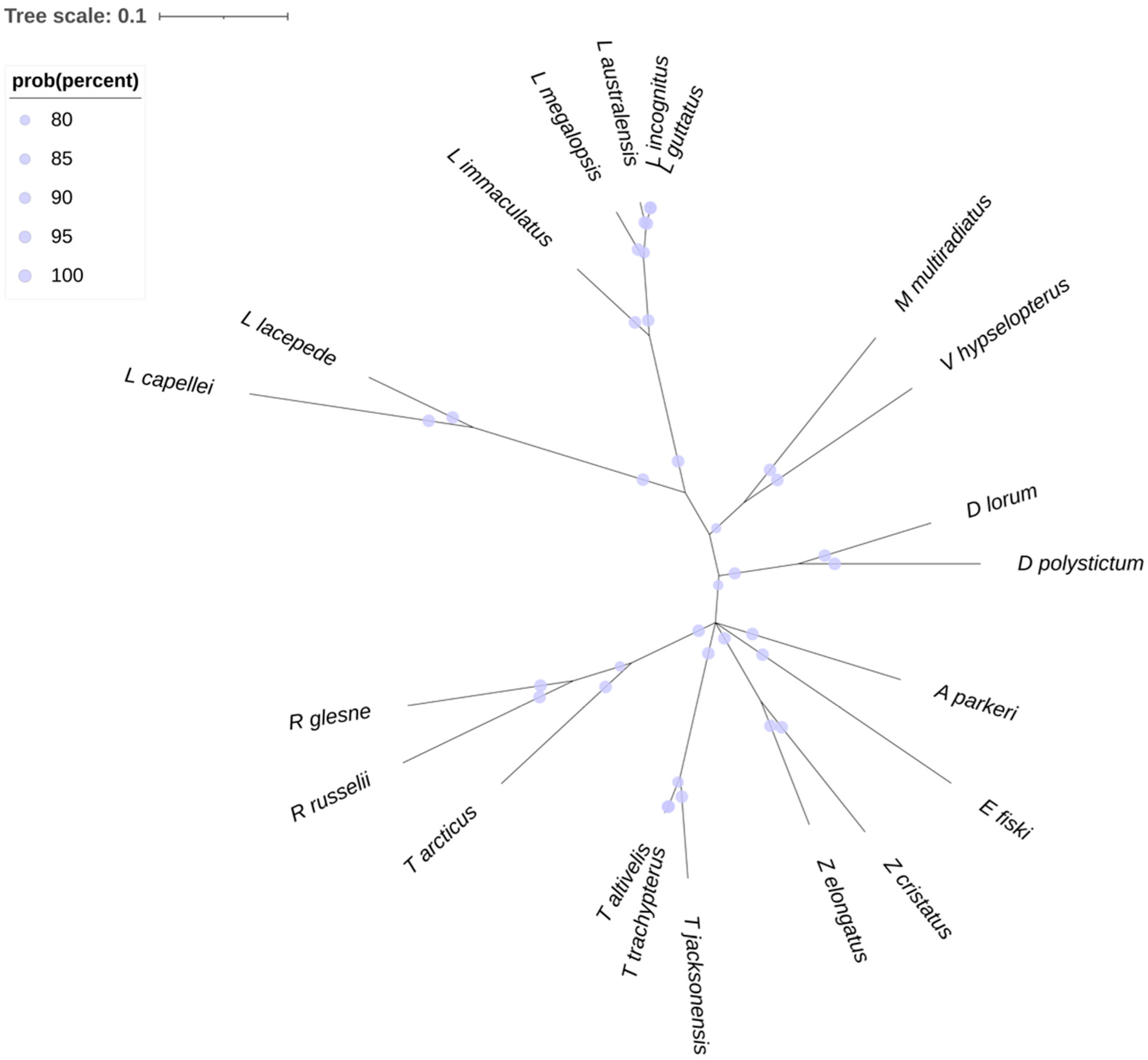 Biology 11 01534 g001