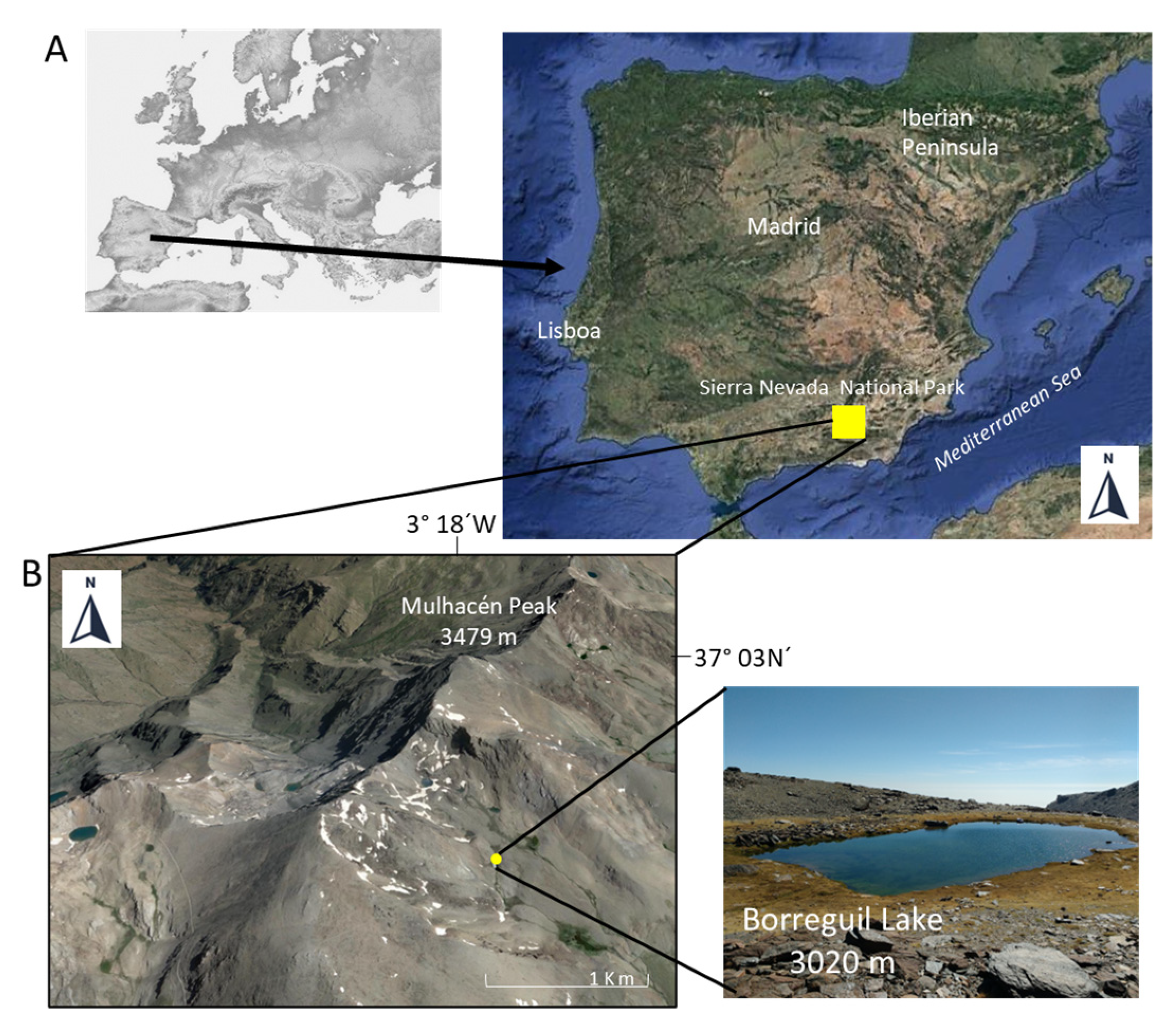 Biology 11 01539 g001 Biology 11 01539 g001