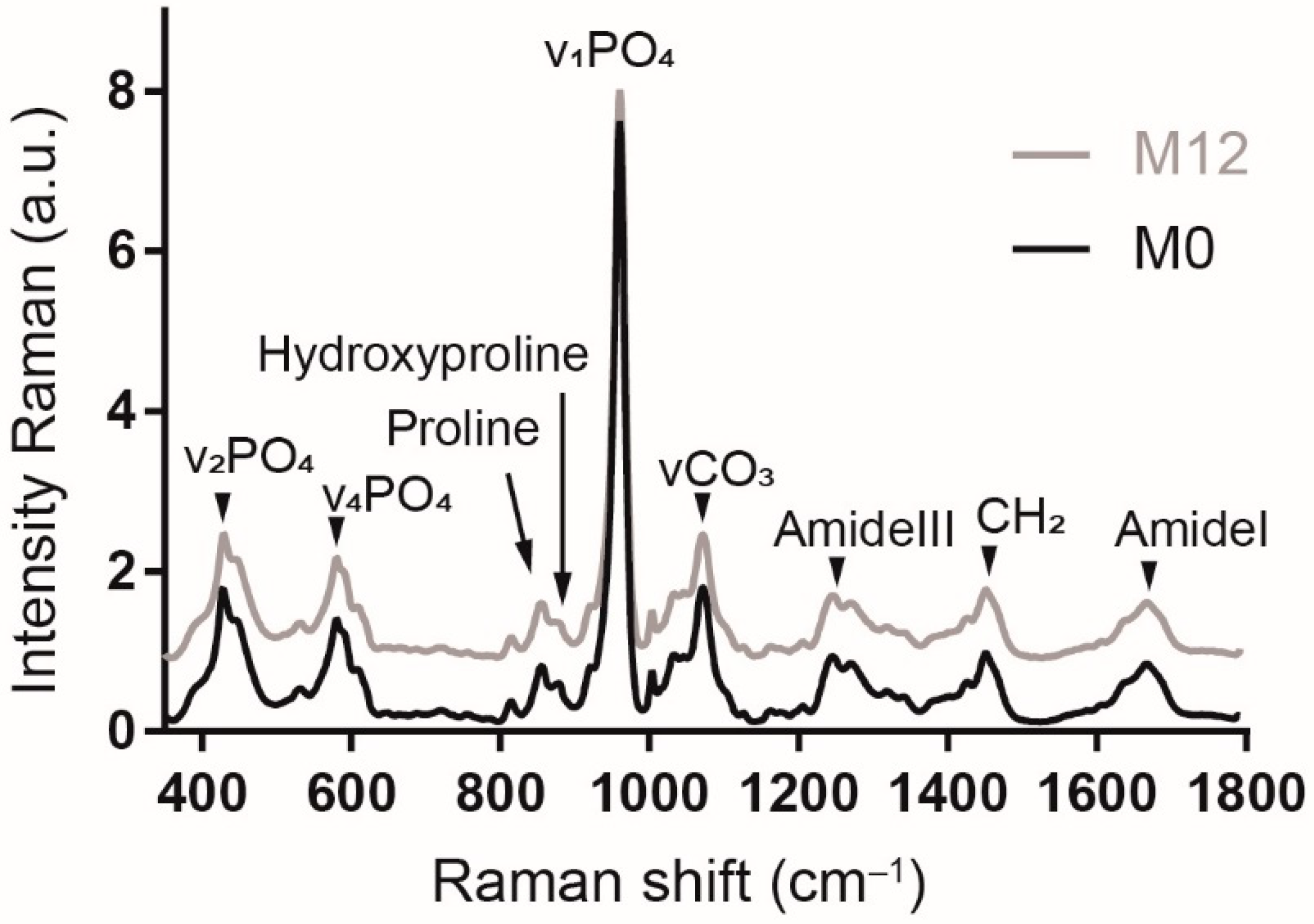 Biology 11 01542 g004