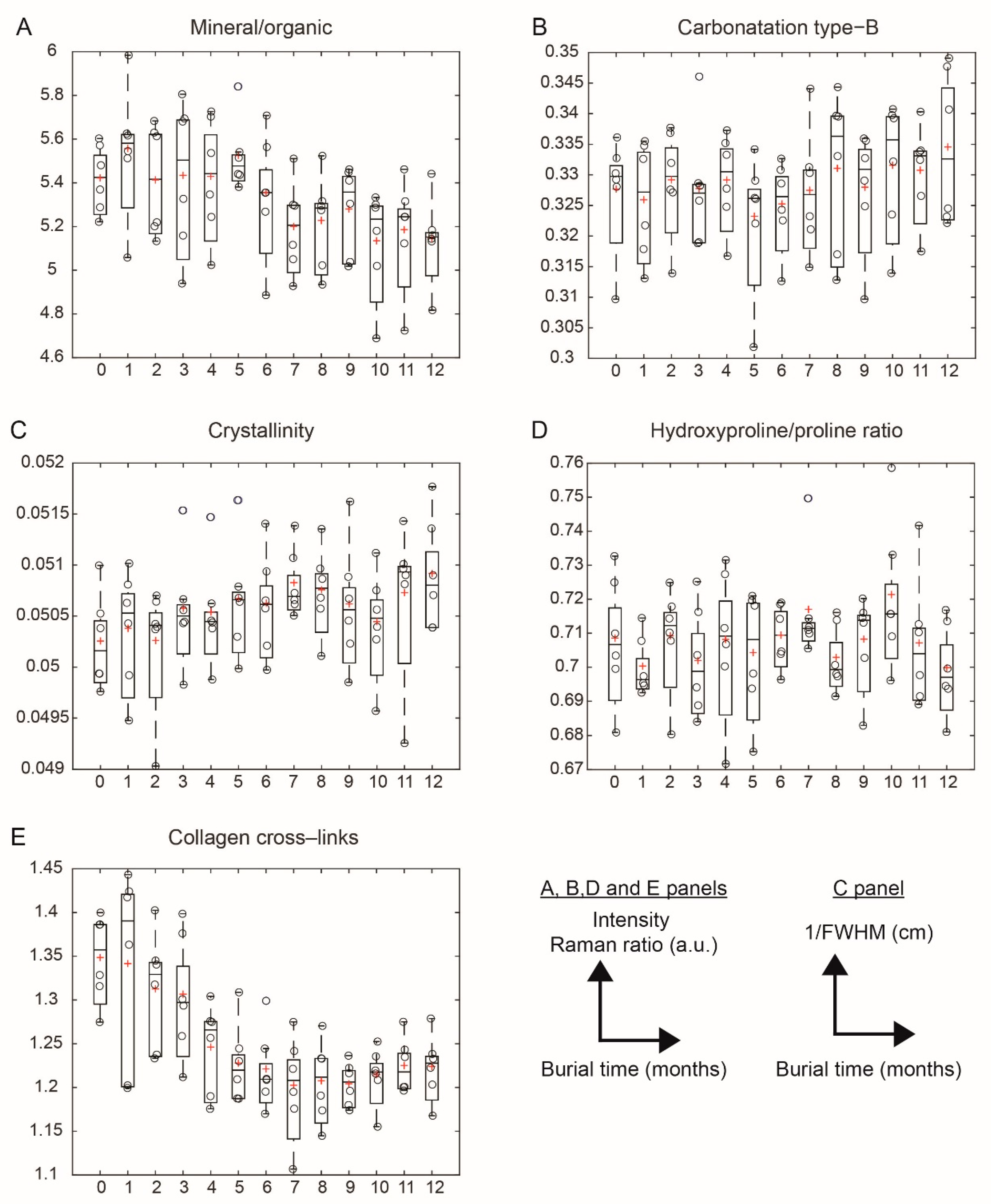 Biology 11 01542 g005